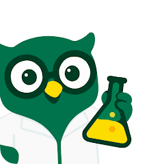 Socratic Lab