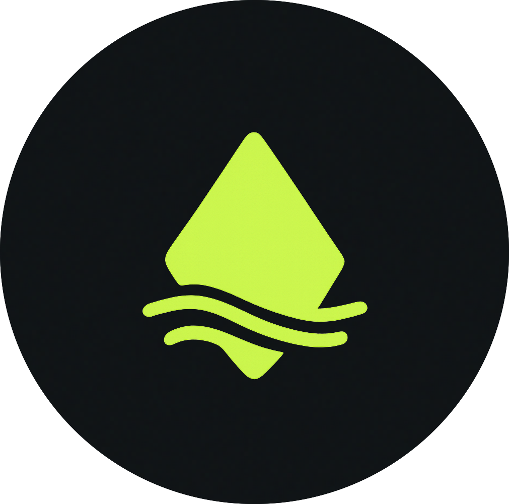 AI Visibility Rank logo