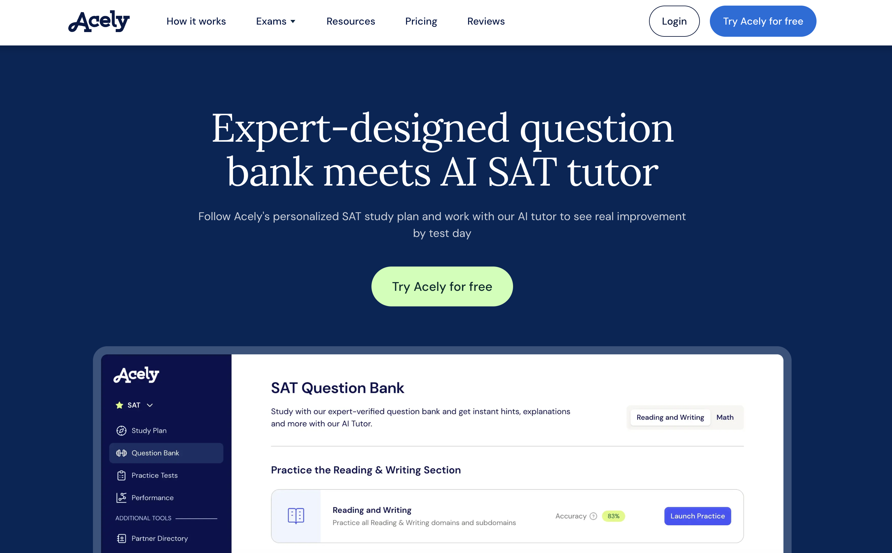 Acely - Screenshot showing the interface and features of this AI tool