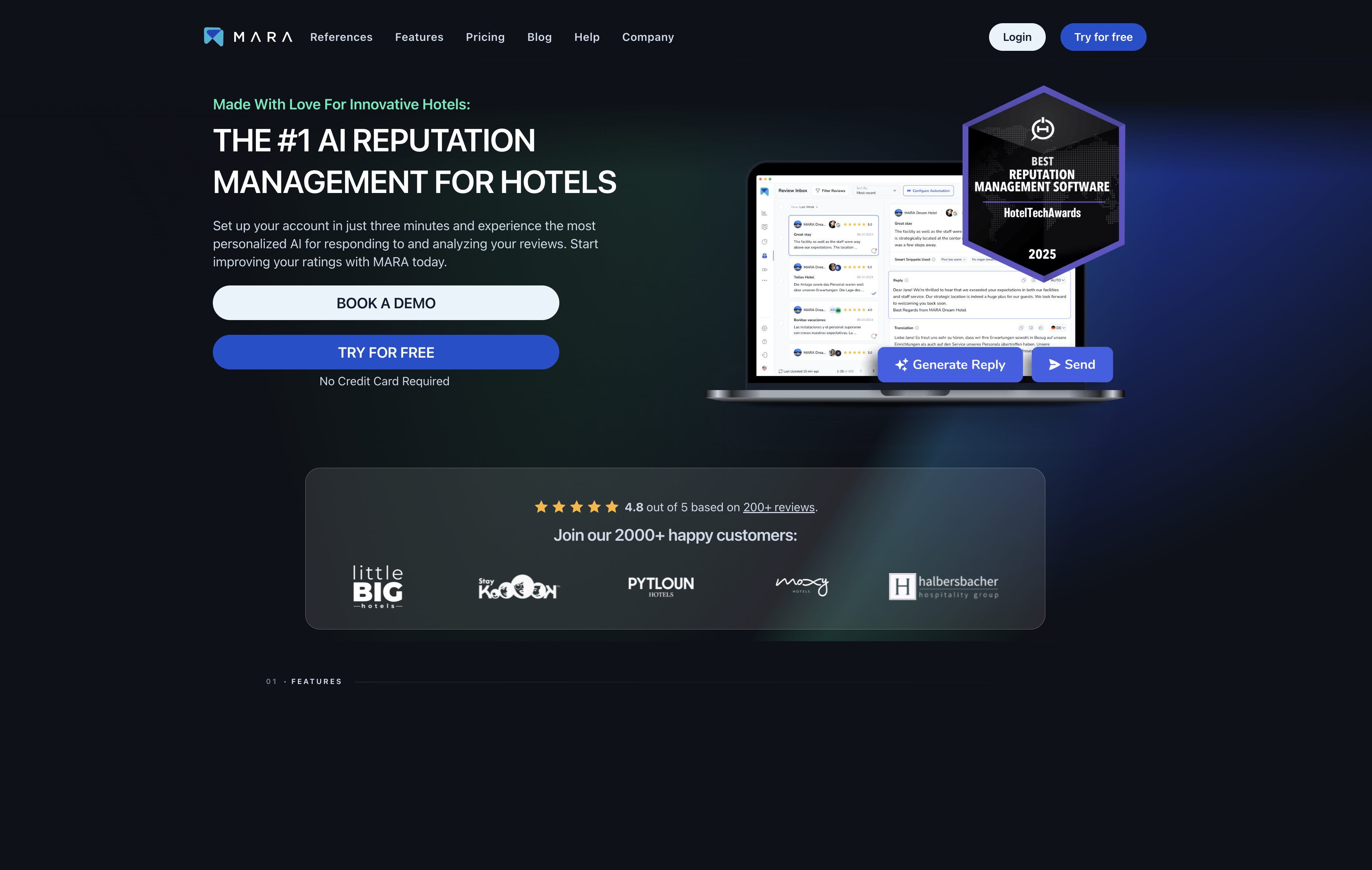 AI Review Reply Assistant - Screenshot showing the interface and features of this AI tool