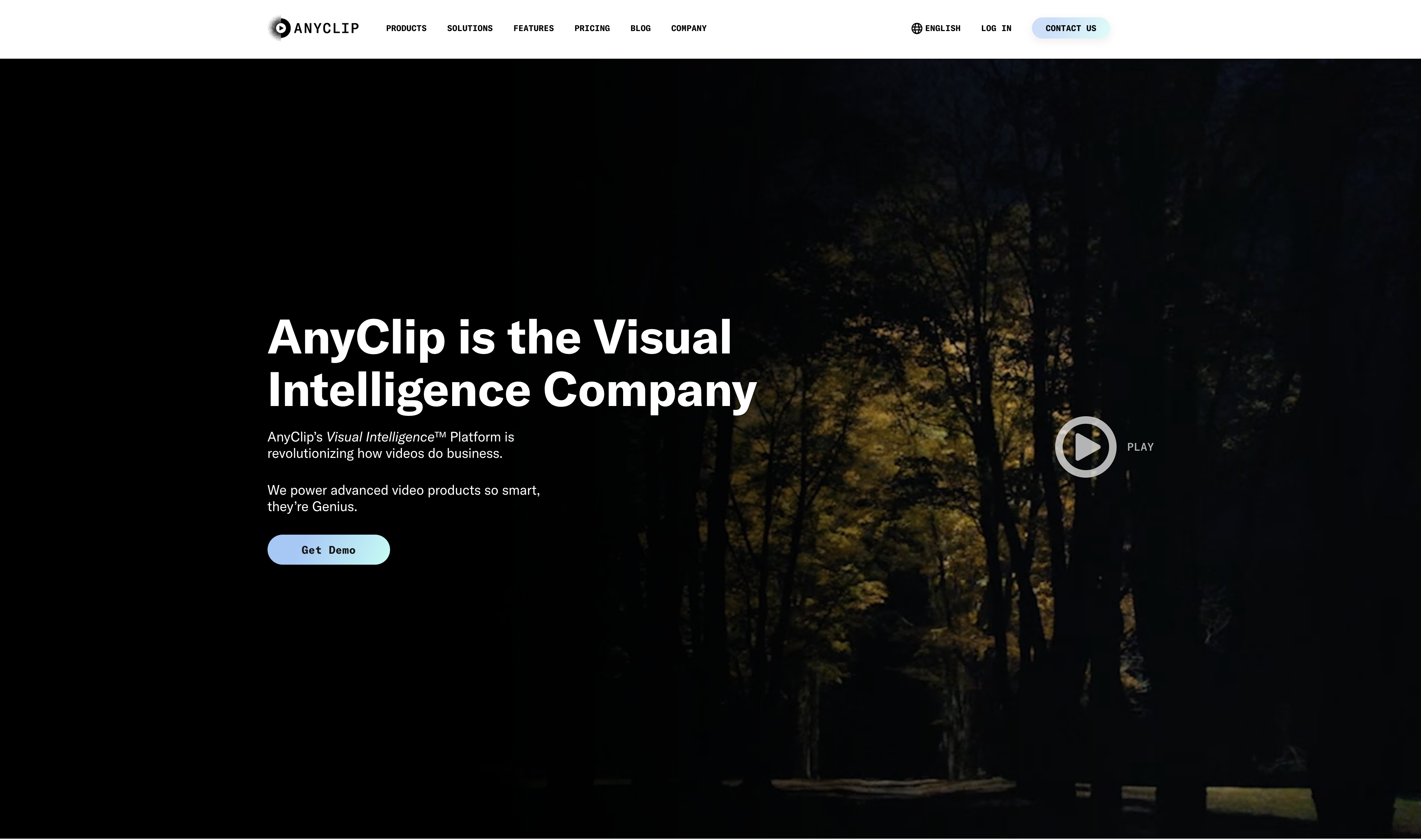 AnyClip - Screenshot showing the interface and features of this AI tool