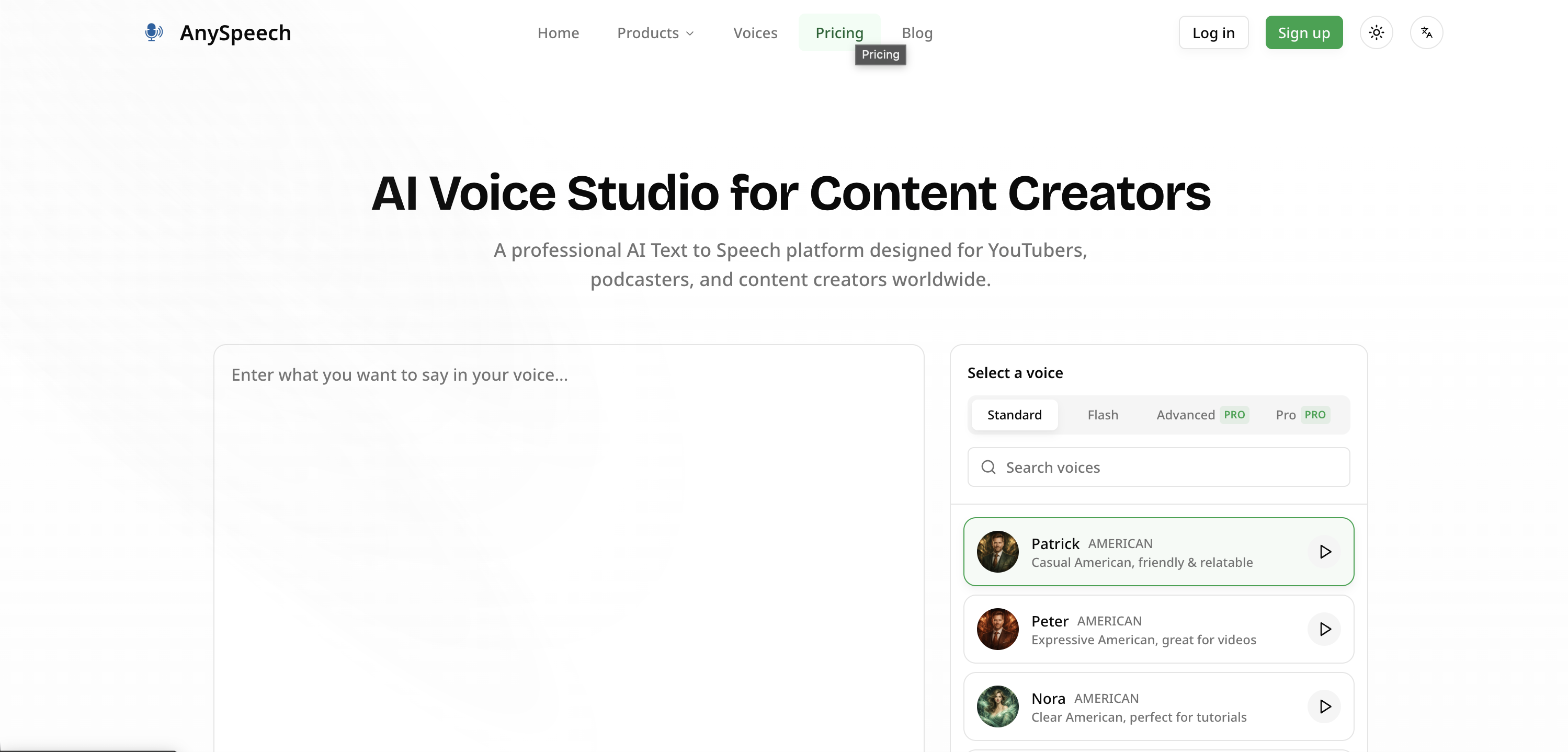 AnySpeech - Screenshot showing the interface and features of this AI tool