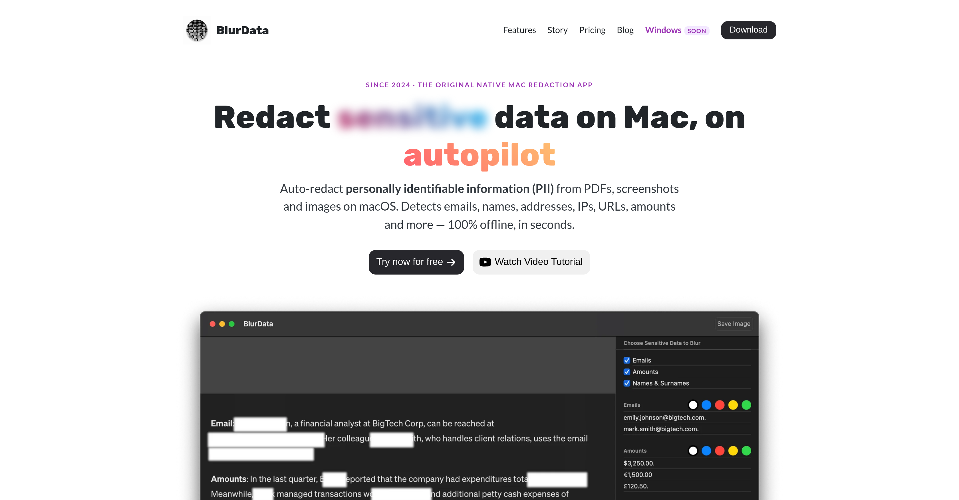 BlurData - Screenshot showing the interface and features of this AI tool