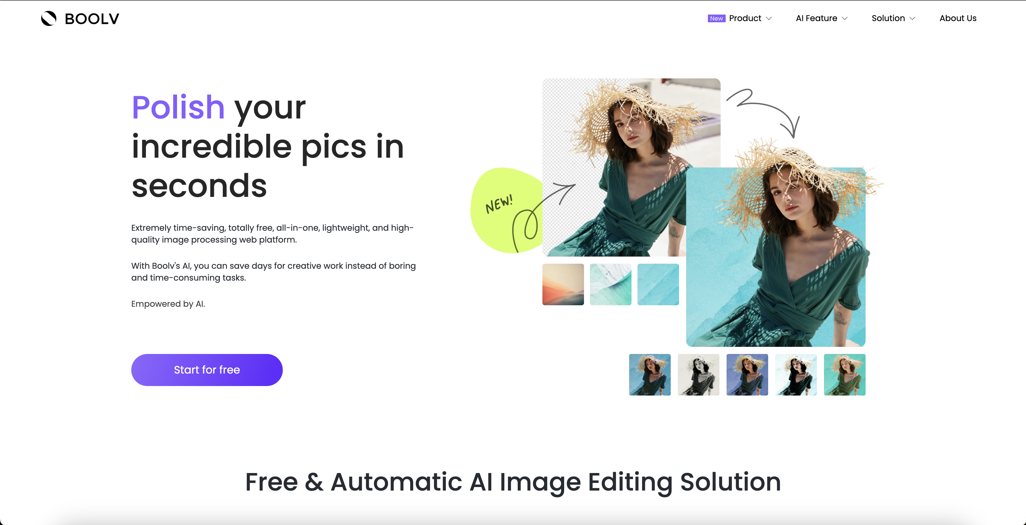 Boolpic - Screenshot showing the interface and features of this AI tool