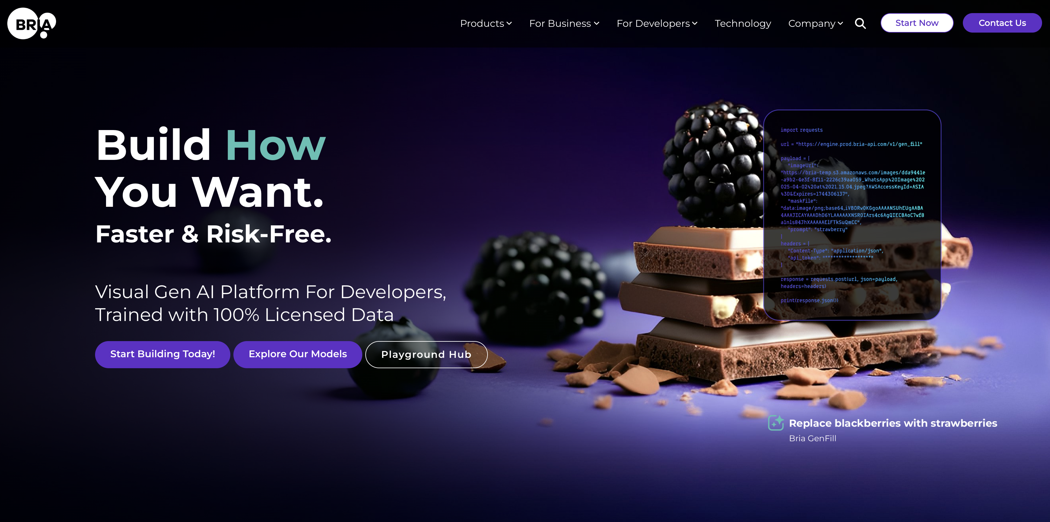 Bria - Screenshot showing the interface and features of this AI tool