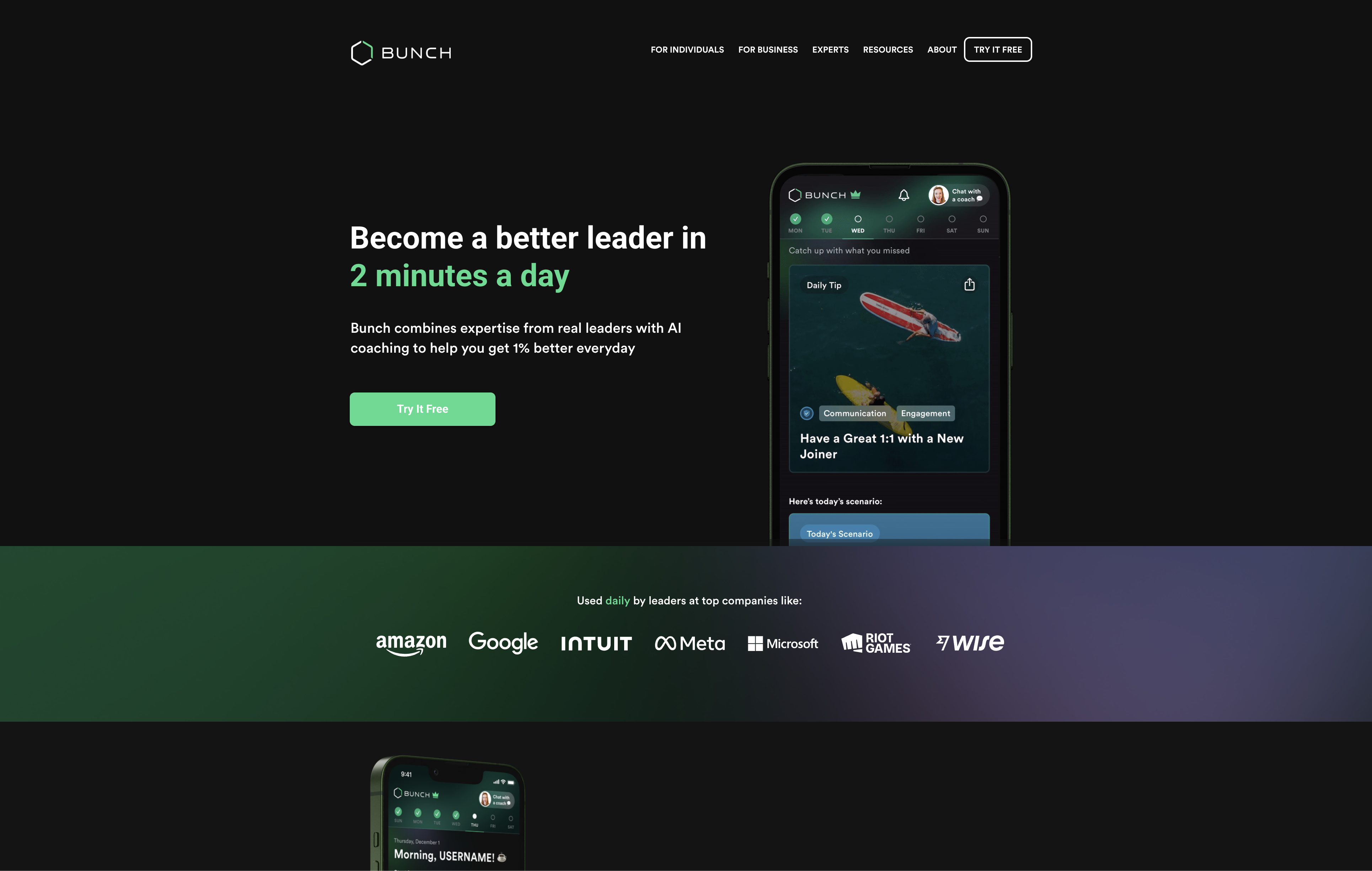 Bunch - Screenshot showing the interface and features of this AI tool