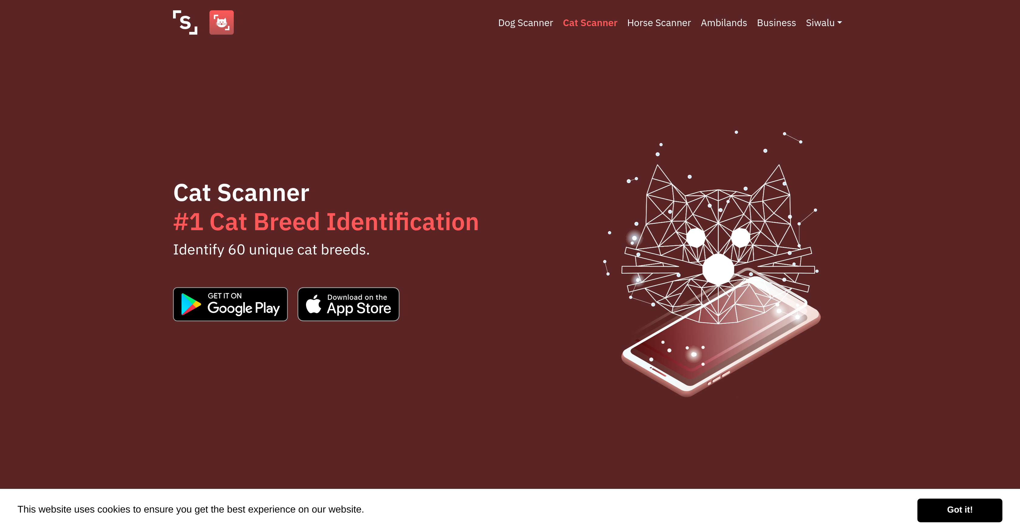 Cat Scanner - Screenshot showing the interface and features of this AI tool