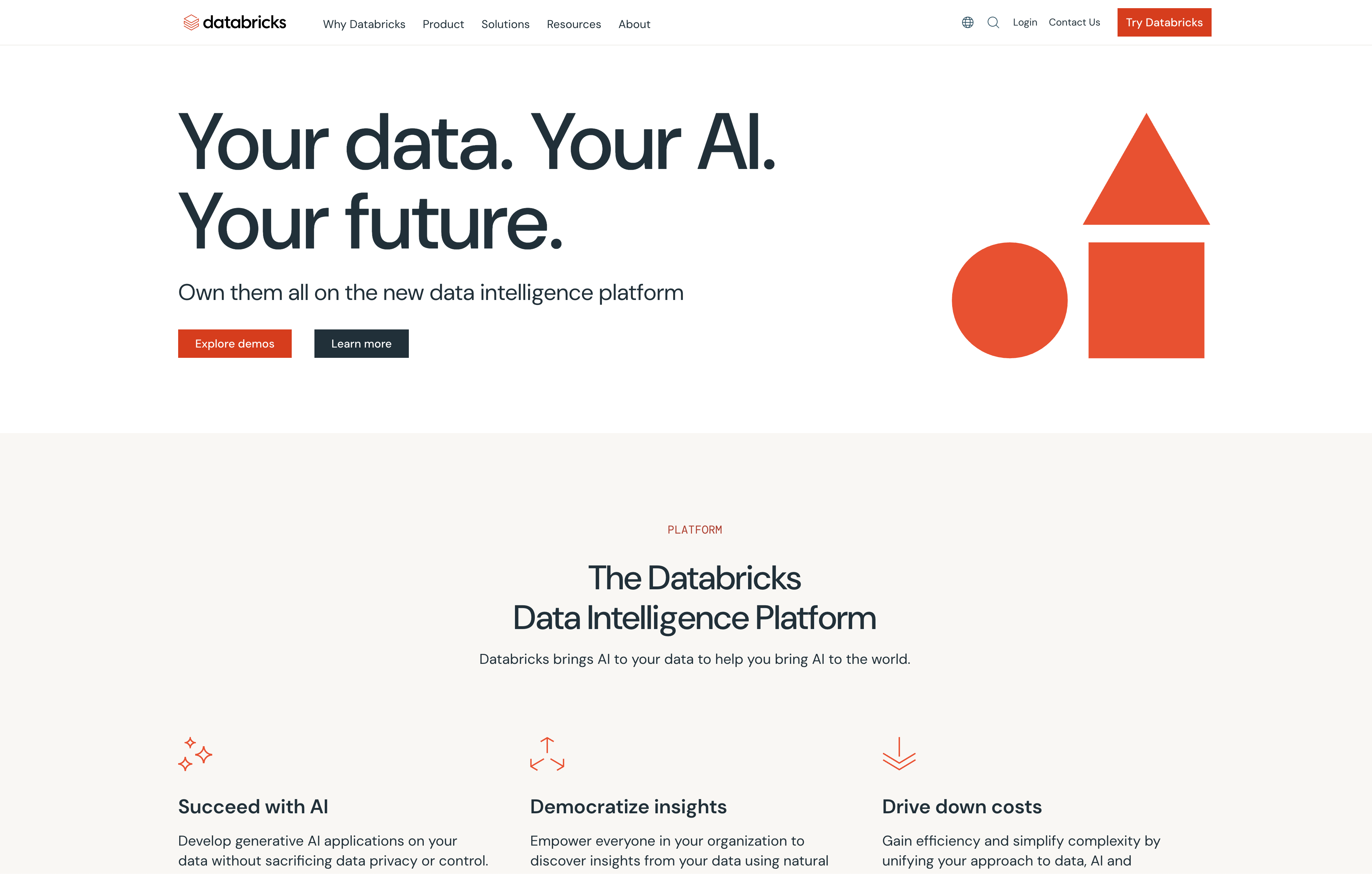 Databricks - Screenshot showing the interface and features of this AI tool