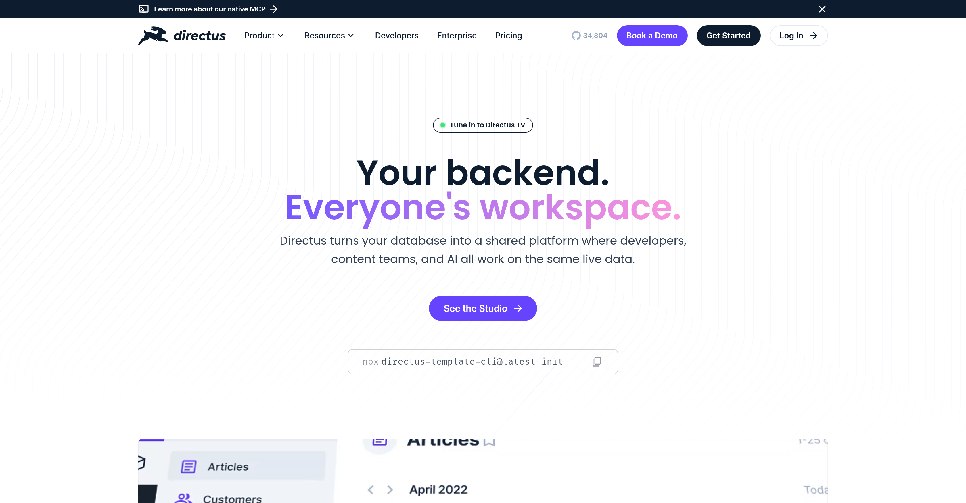 Directus - Screenshot showing the interface and features of this AI tool