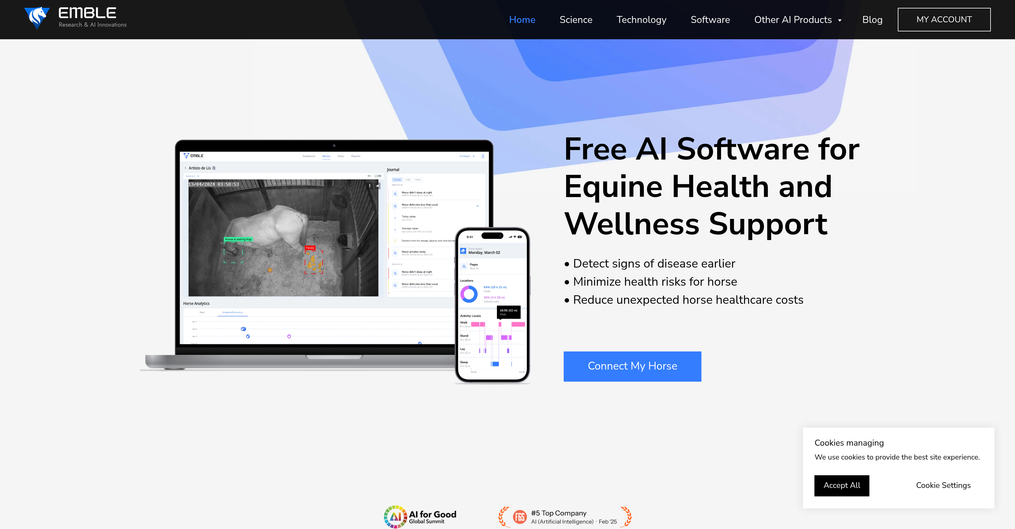 Emble Pro - Screenshot showing the interface and features of this AI tool