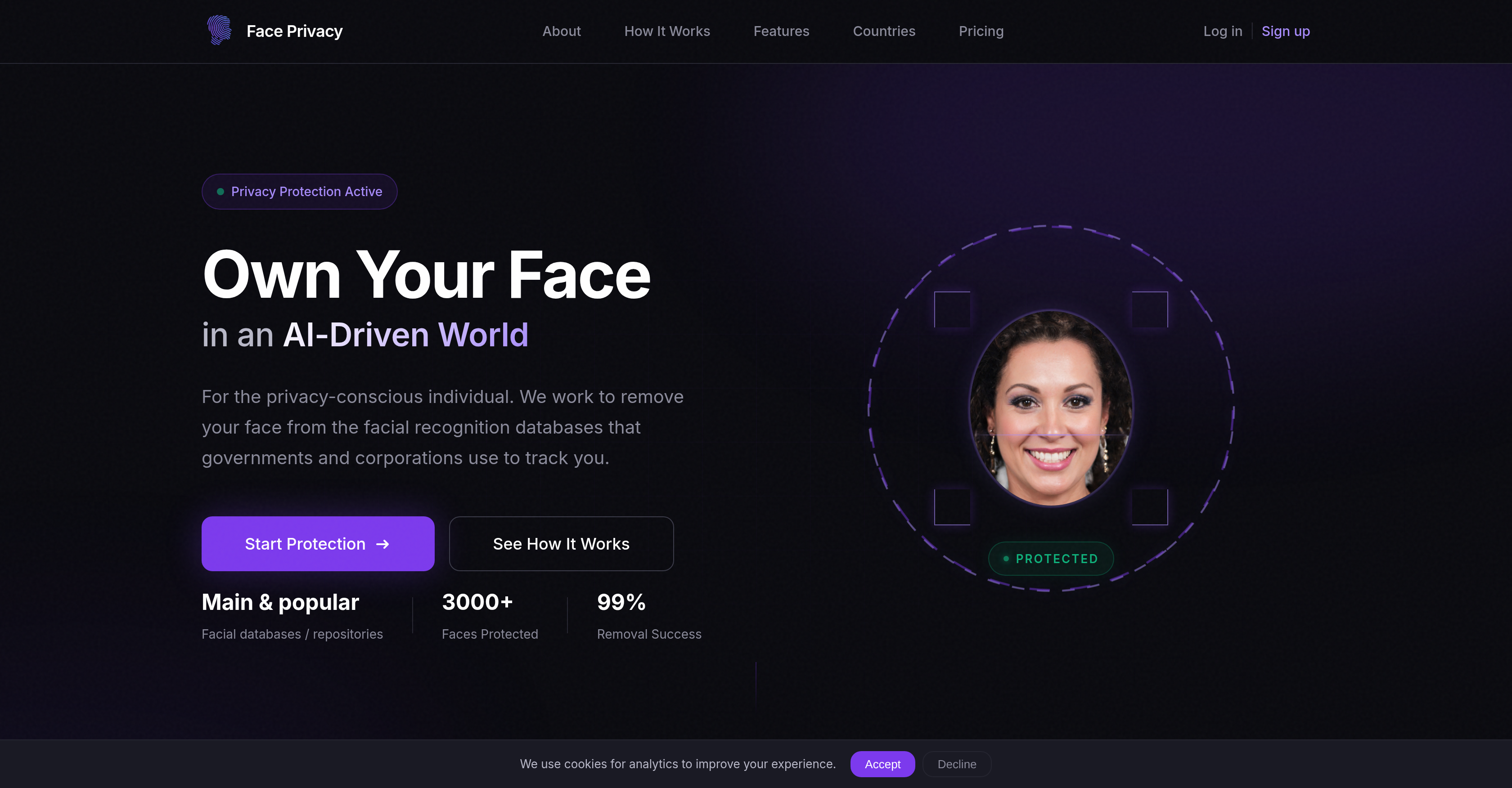 Face Privacy - Screenshot showing the interface and features of this AI tool