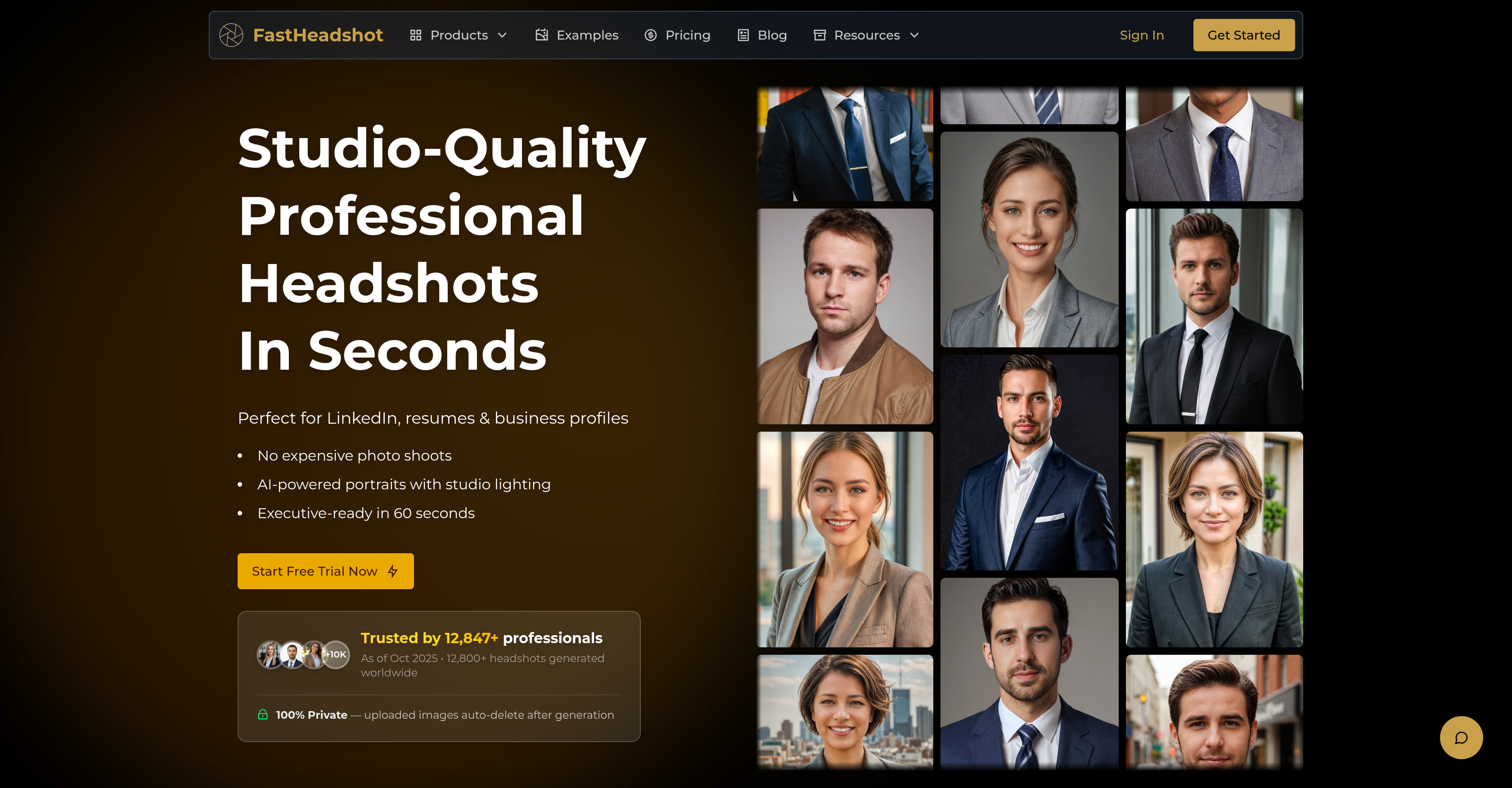 FastHeadshot - Screenshot showing the interface and features of this AI tool