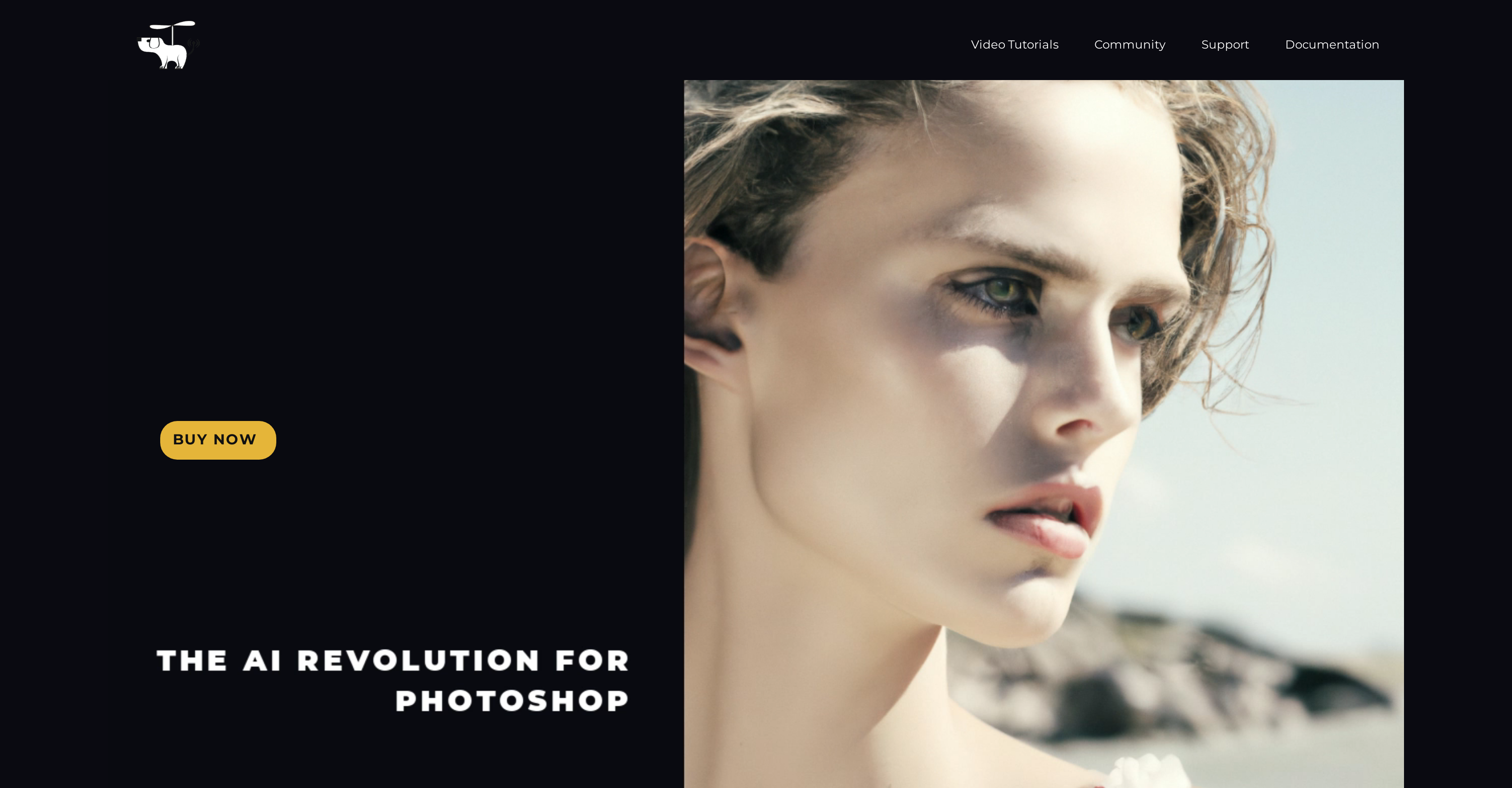 AI for Photoshop - DALL-E 2 and Stable Diffusion (fly... - Screenshot showing the interface and features of this AI tool