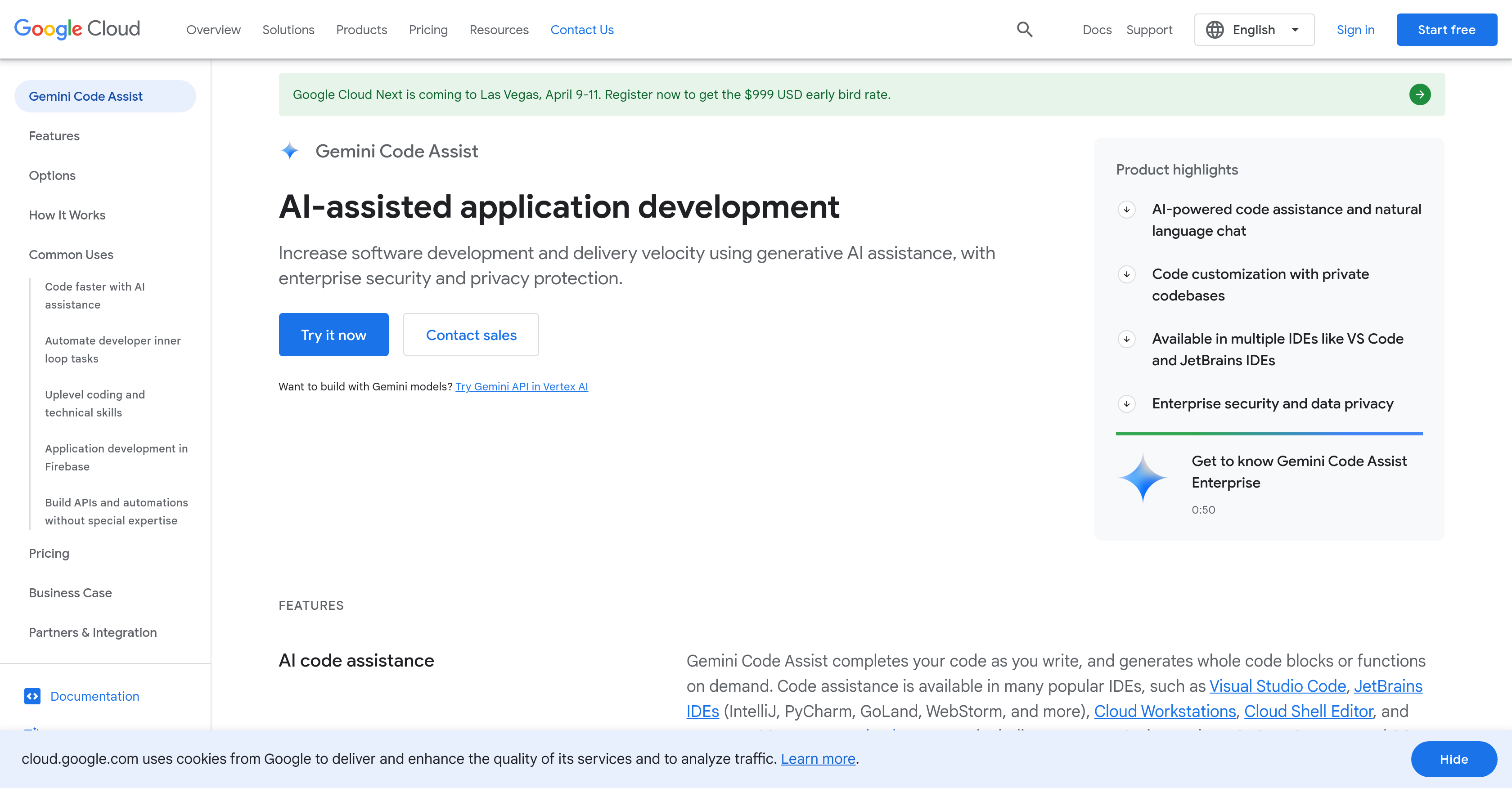 Gemini Code Assist - Screenshot showing the interface and features of this AI tool