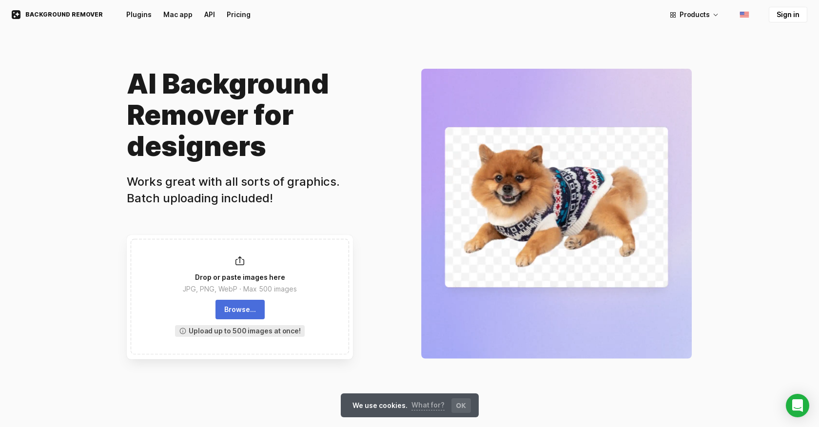 Icons8 Background Remover - Screenshot showing the interface and features of this AI tool
