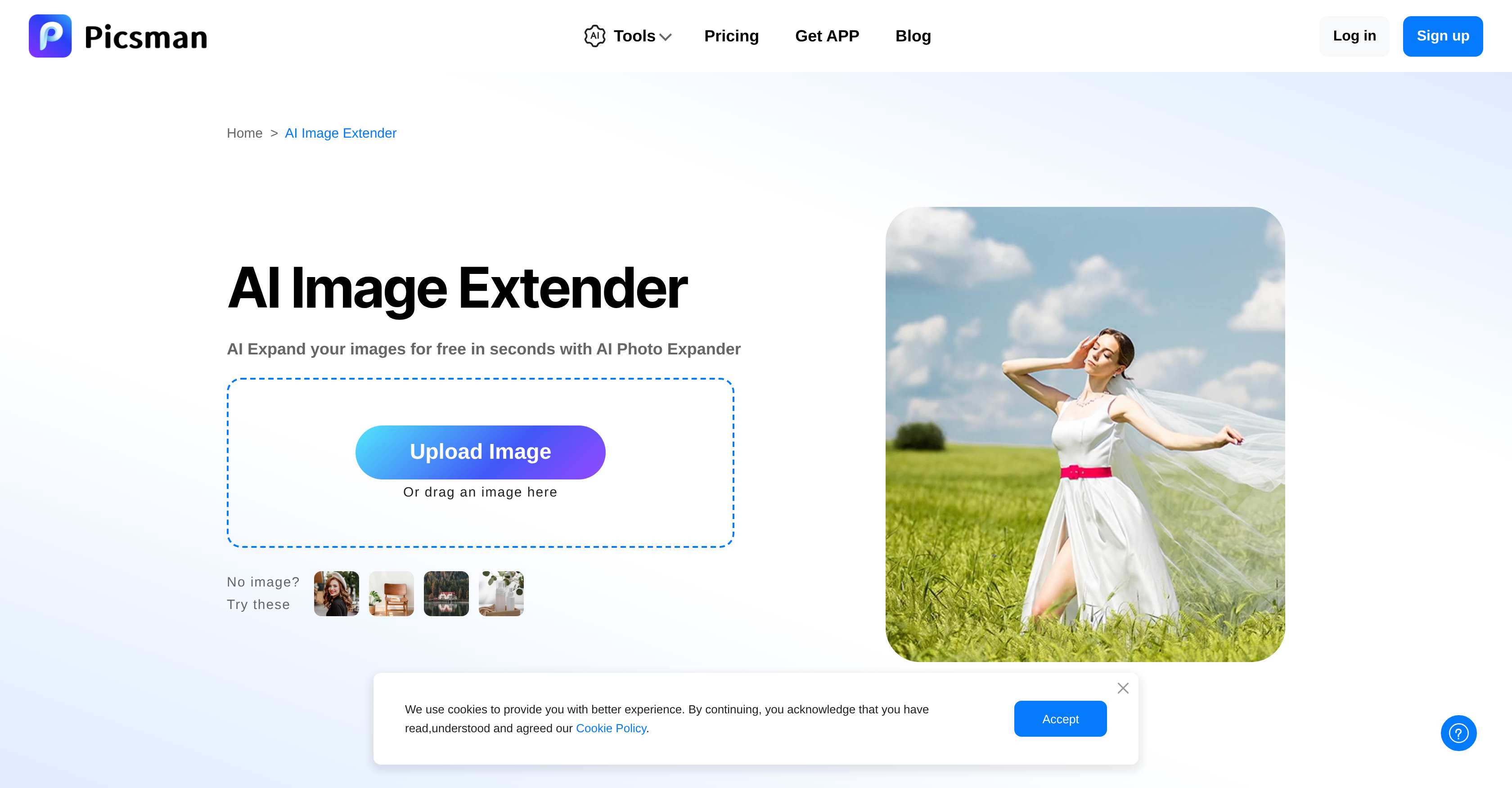 Image Extender by Picsman - Screenshot showing the interface and features of this AI tool