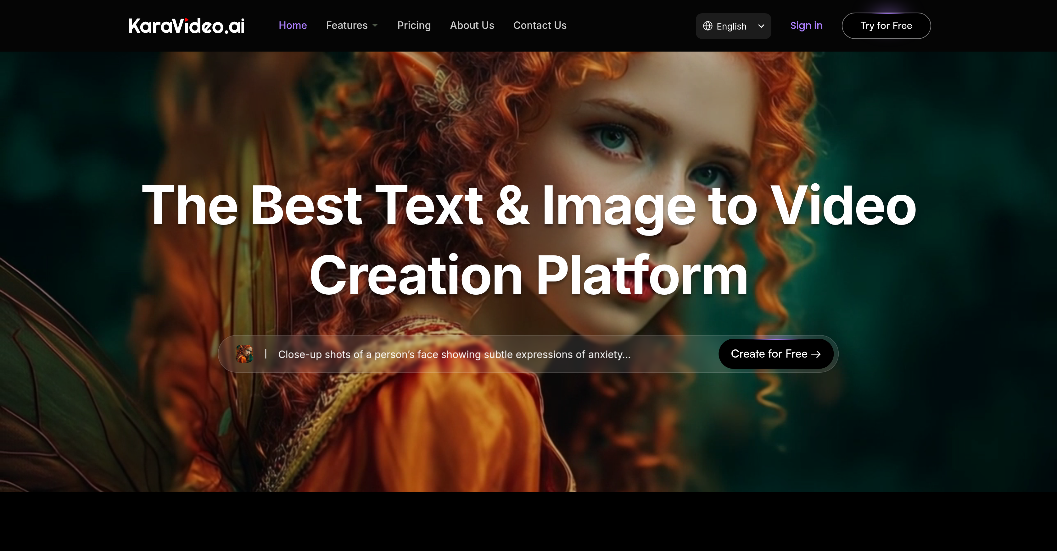 KaraVideo - Screenshot showing the interface and features of this AI tool