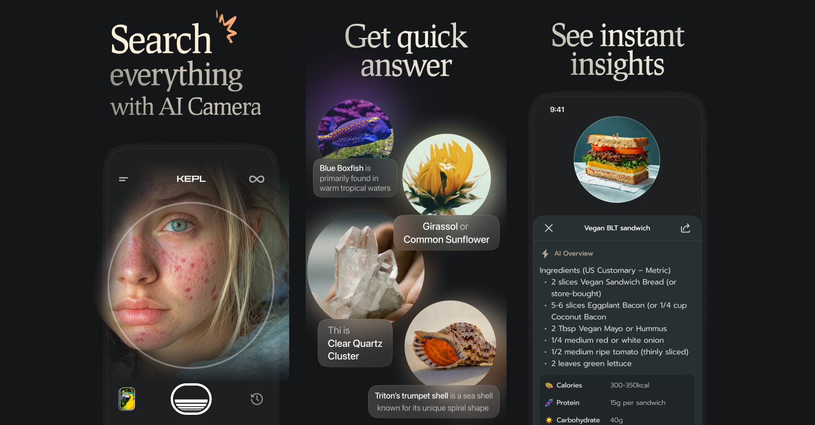 KEPL - Vision AI Searchv1.1 - Screenshot showing the interface and features of this AI tool