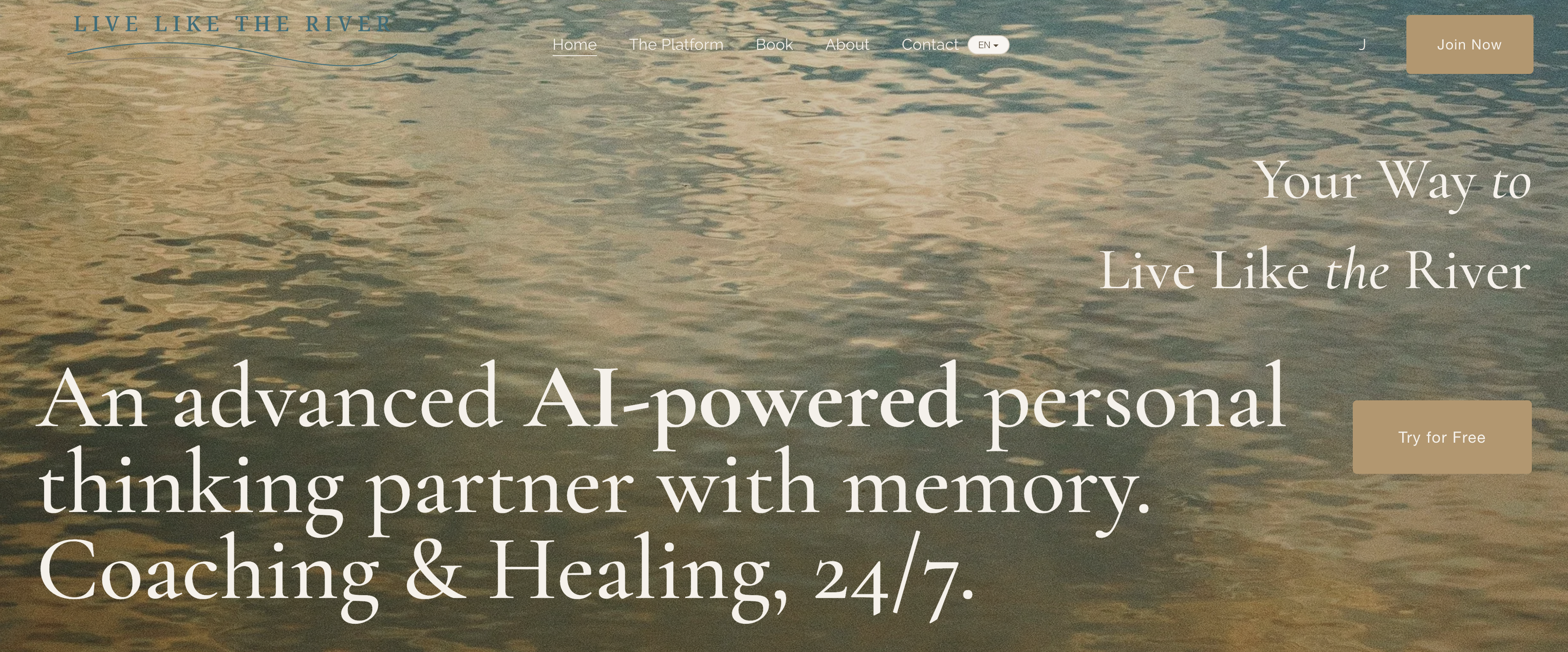 Live Like The River - Screenshot showing the interface and features of this AI tool