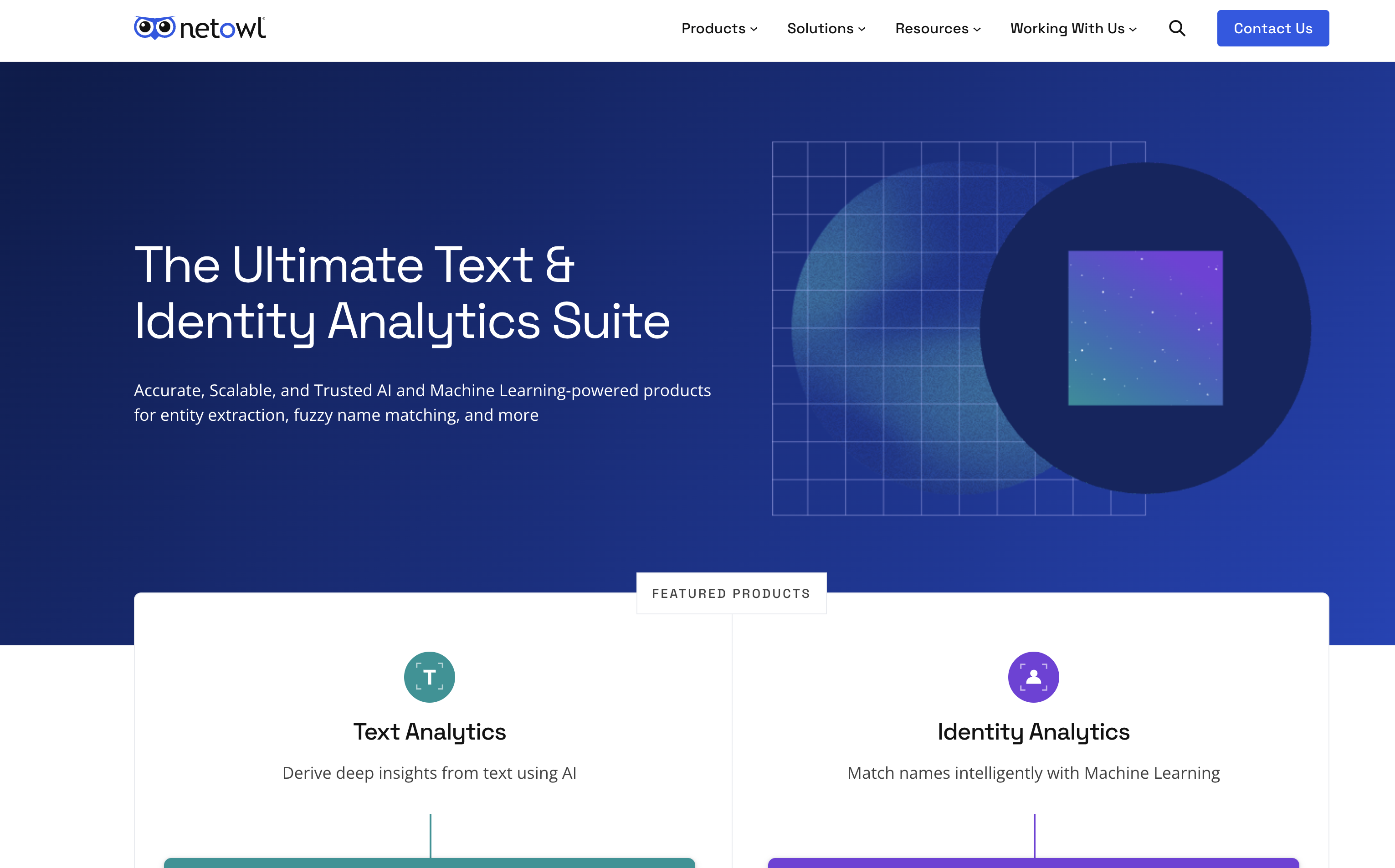 NetOwl - Screenshot showing the interface and features of this AI tool