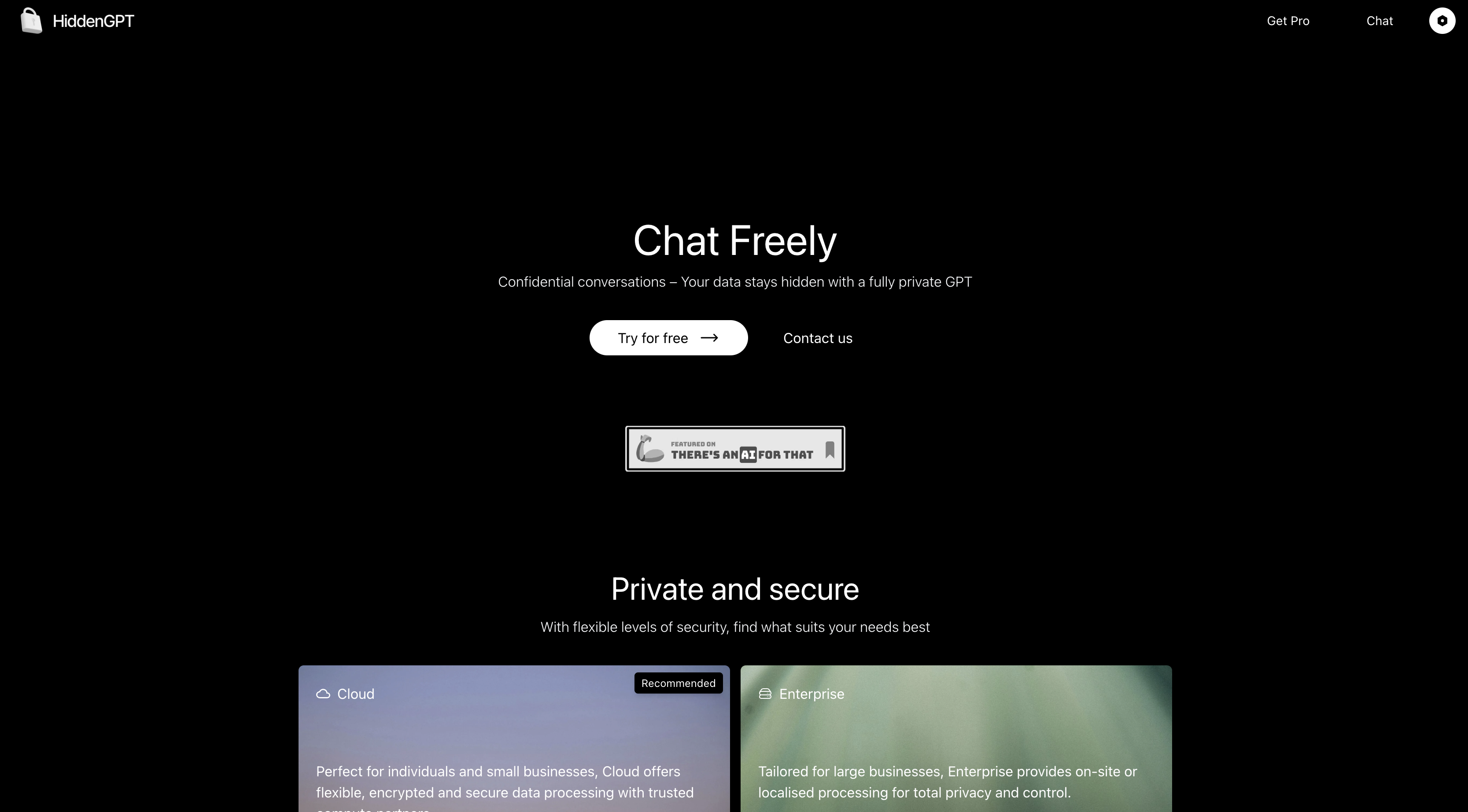 HiddenGPTv1 - Screenshot showing the interface and features of this AI tool