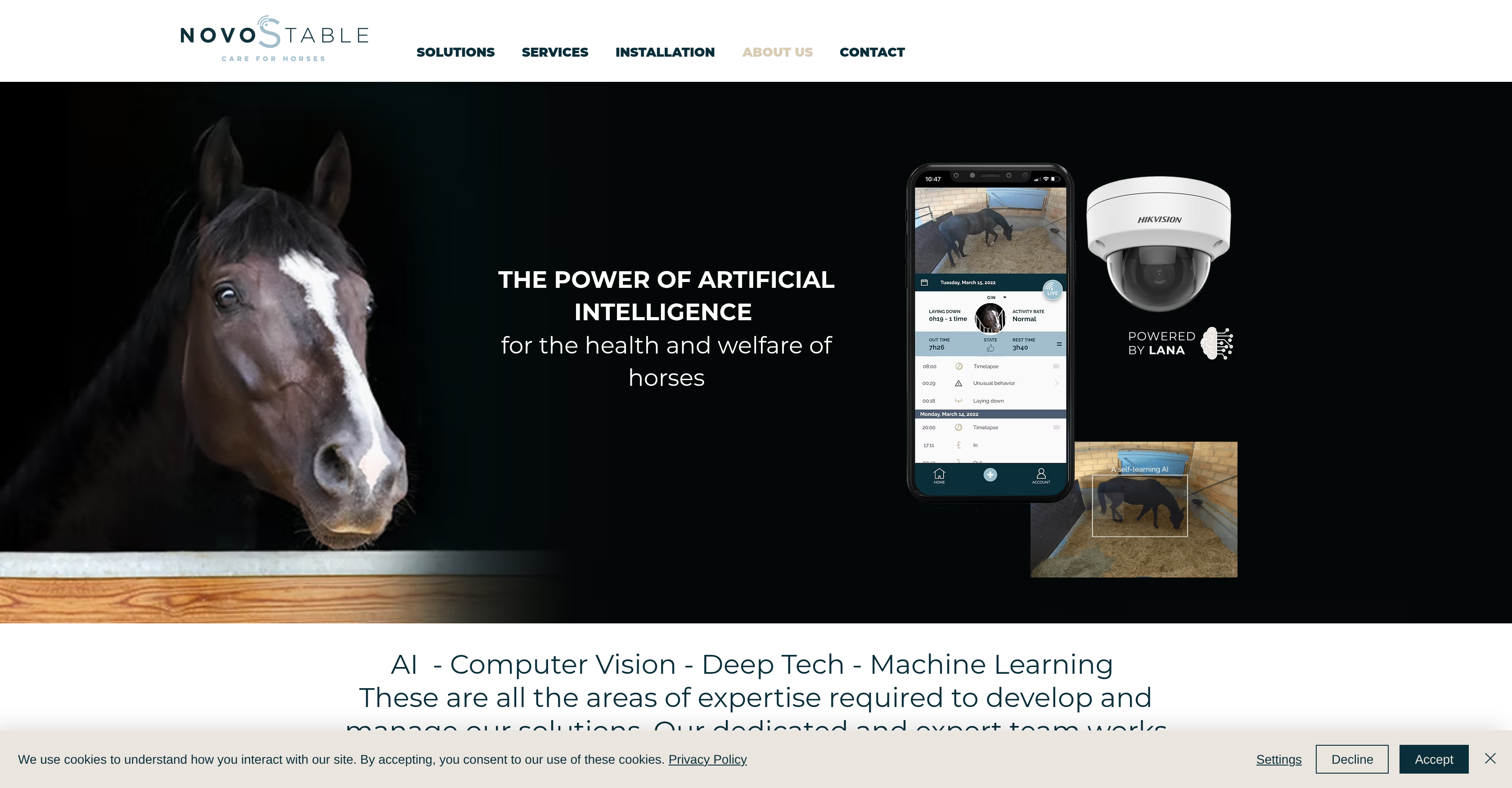 Novostable - Screenshot showing the interface and features of this AI tool