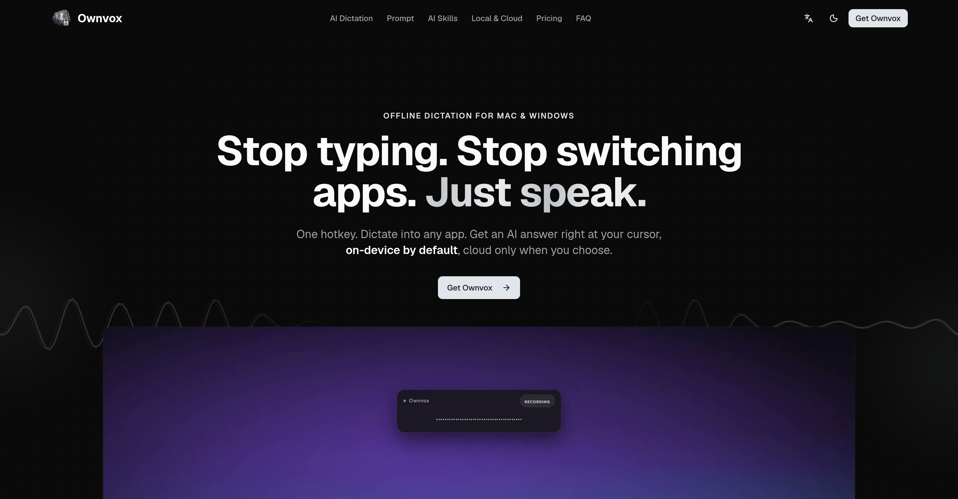Ownvox - Screenshot showing the interface and features of this AI tool