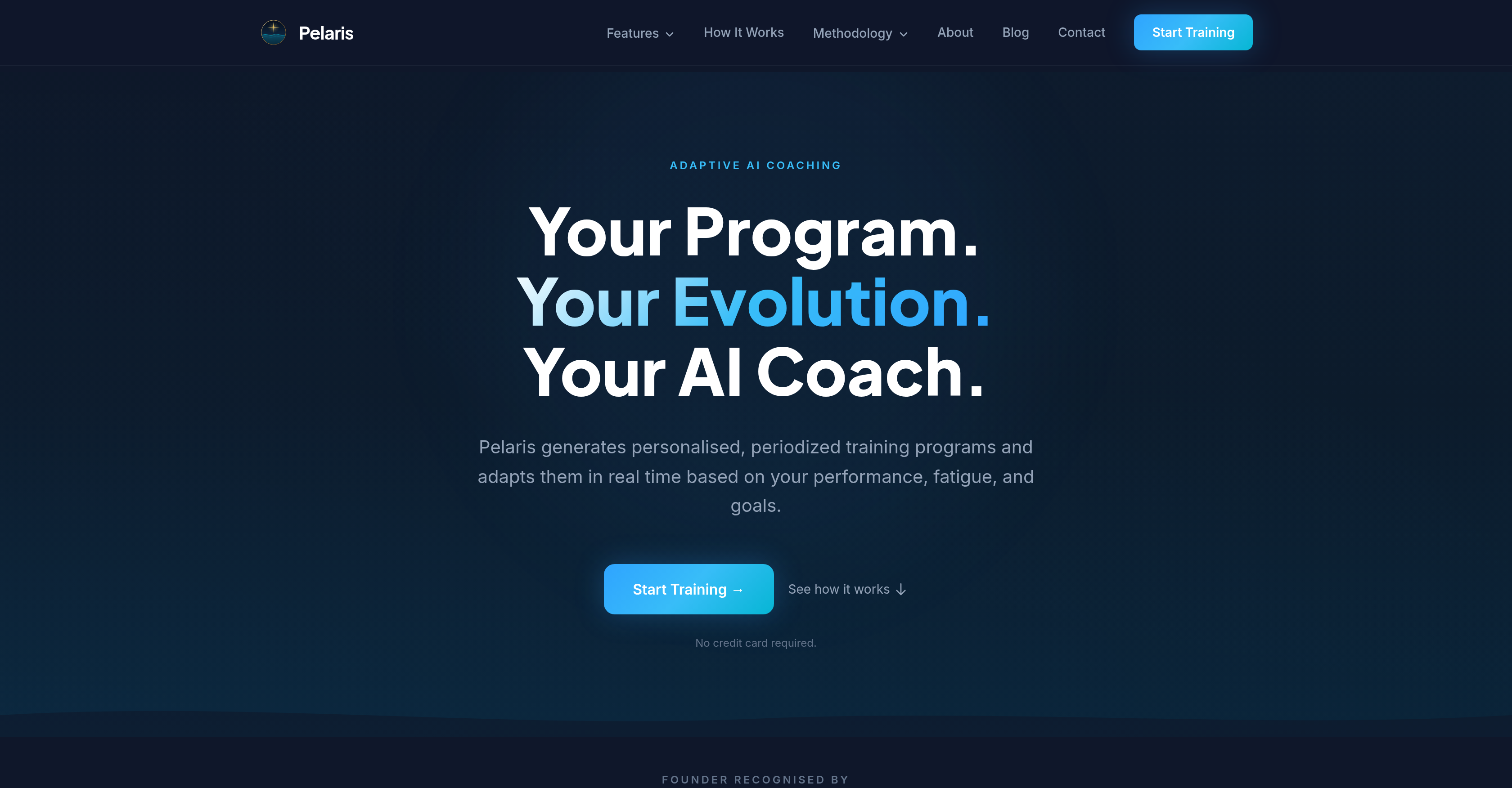 Pelaris - Screenshot showing the interface and features of this AI tool