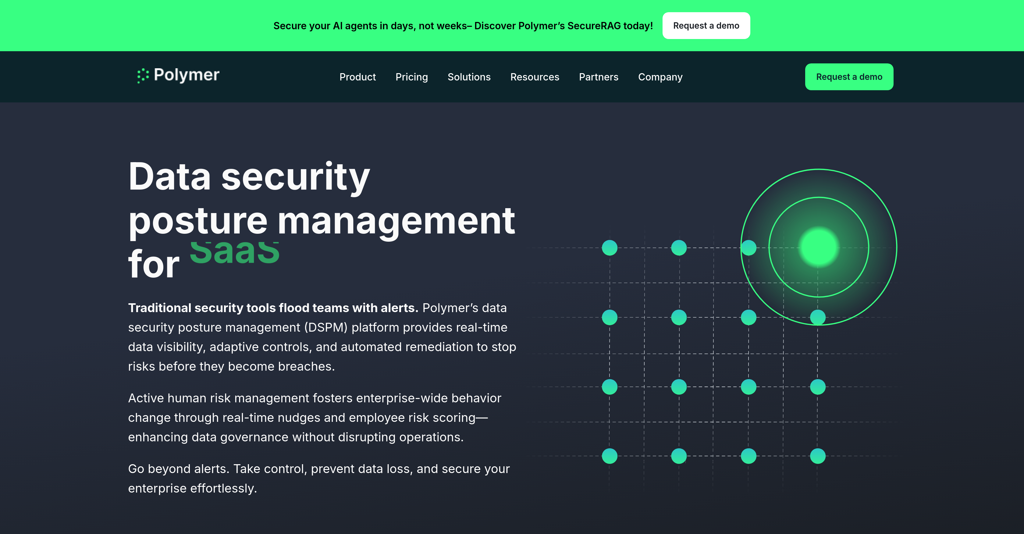 Polymer Runtime Data Securityv2.1 - Screenshot showing the interface and features of this AI tool