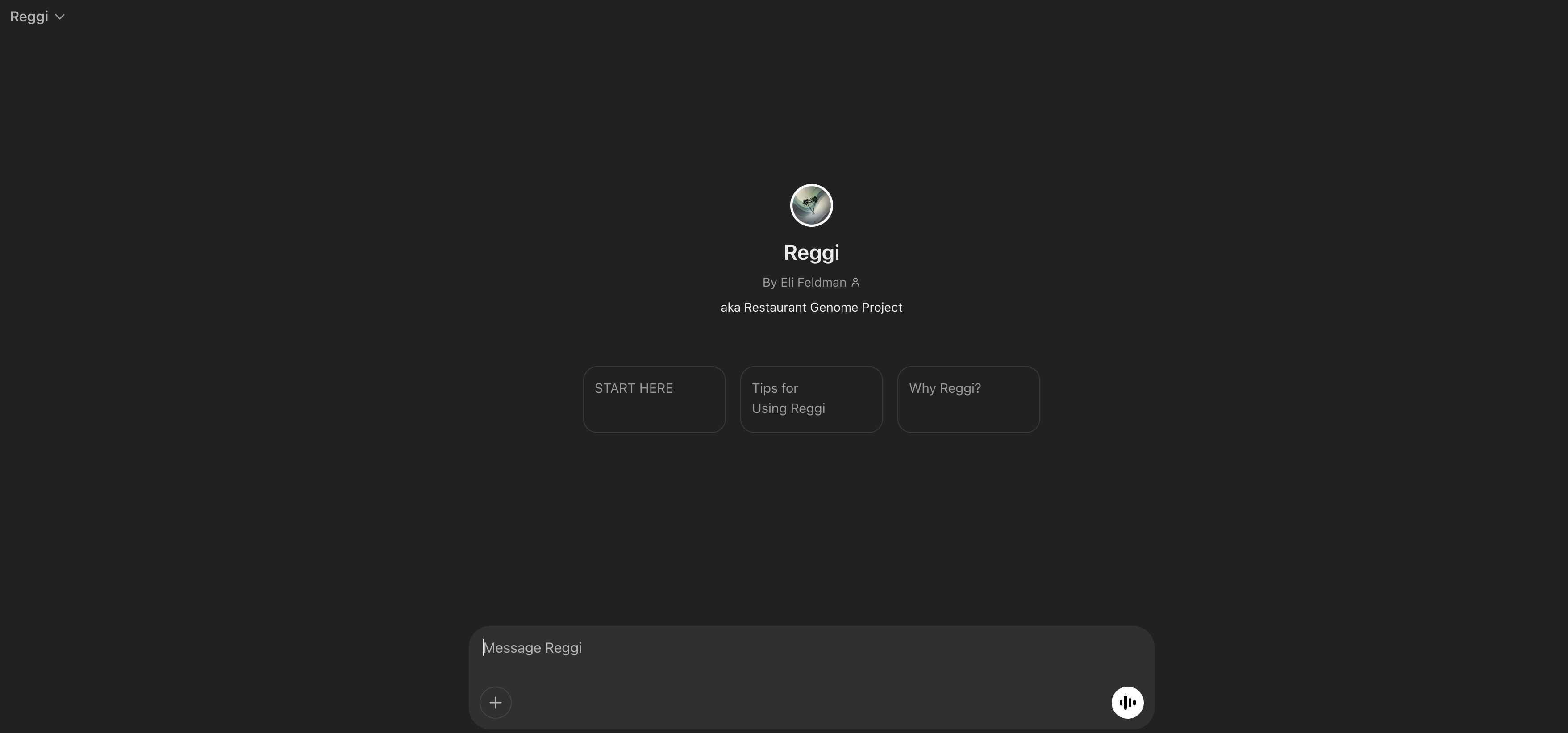 Reggi - Screenshot showing the interface and features of this AI tool