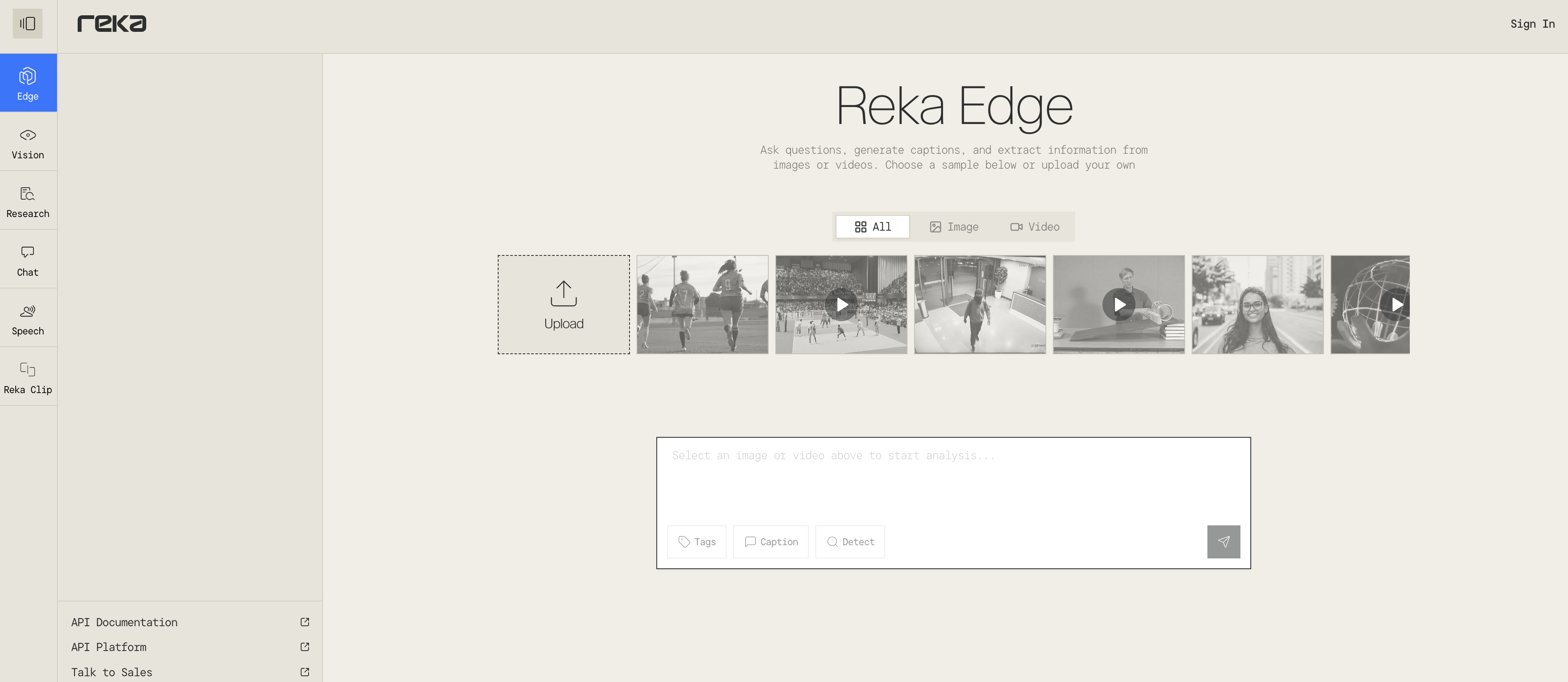 Reka Edge - Screenshot showing the interface and features of this AI tool