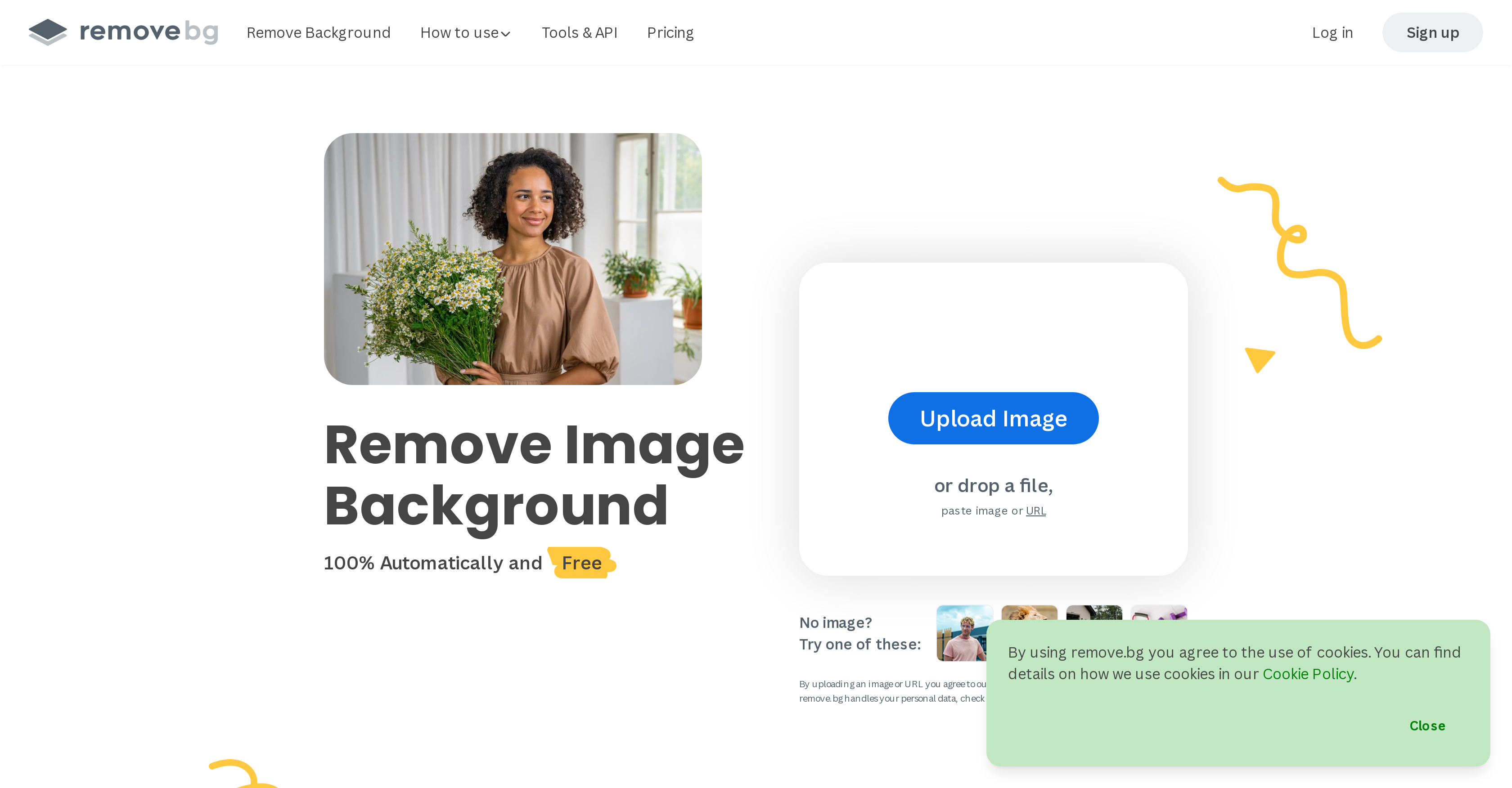 remove.bg - Screenshot showing the interface and features of this AI tool