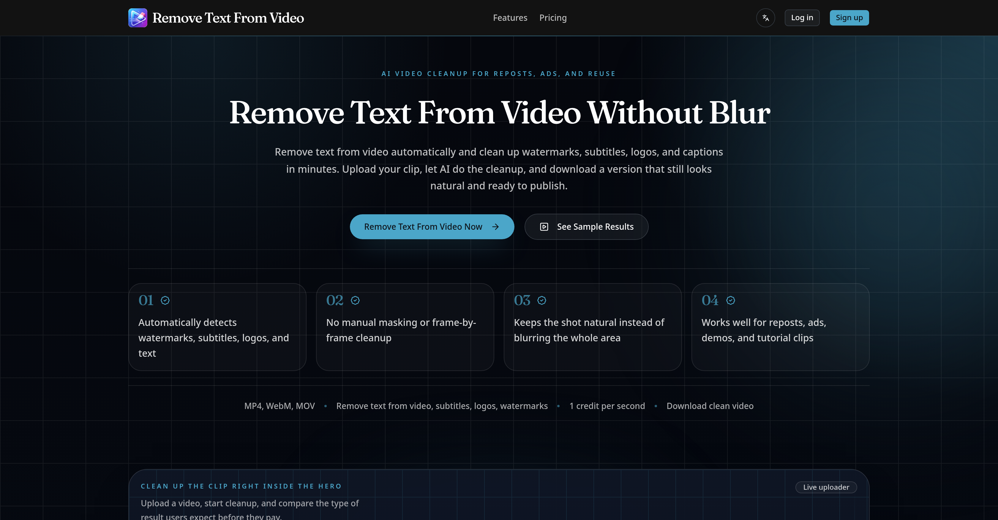 Remove Text From Video.net - Screenshot showing the interface and features of this AI tool
