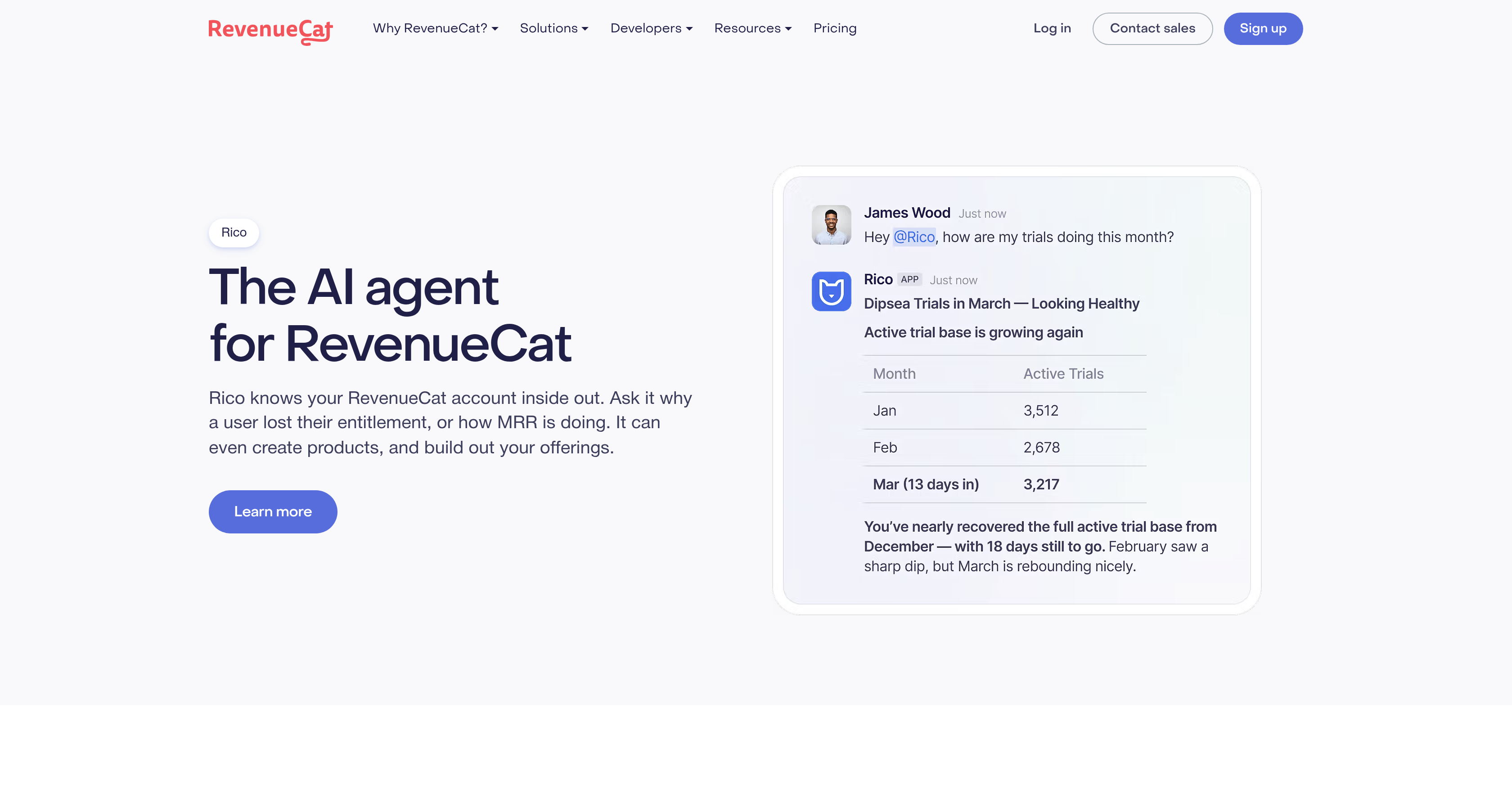 RevenueCat - Screenshot showing the interface and features of this AI tool