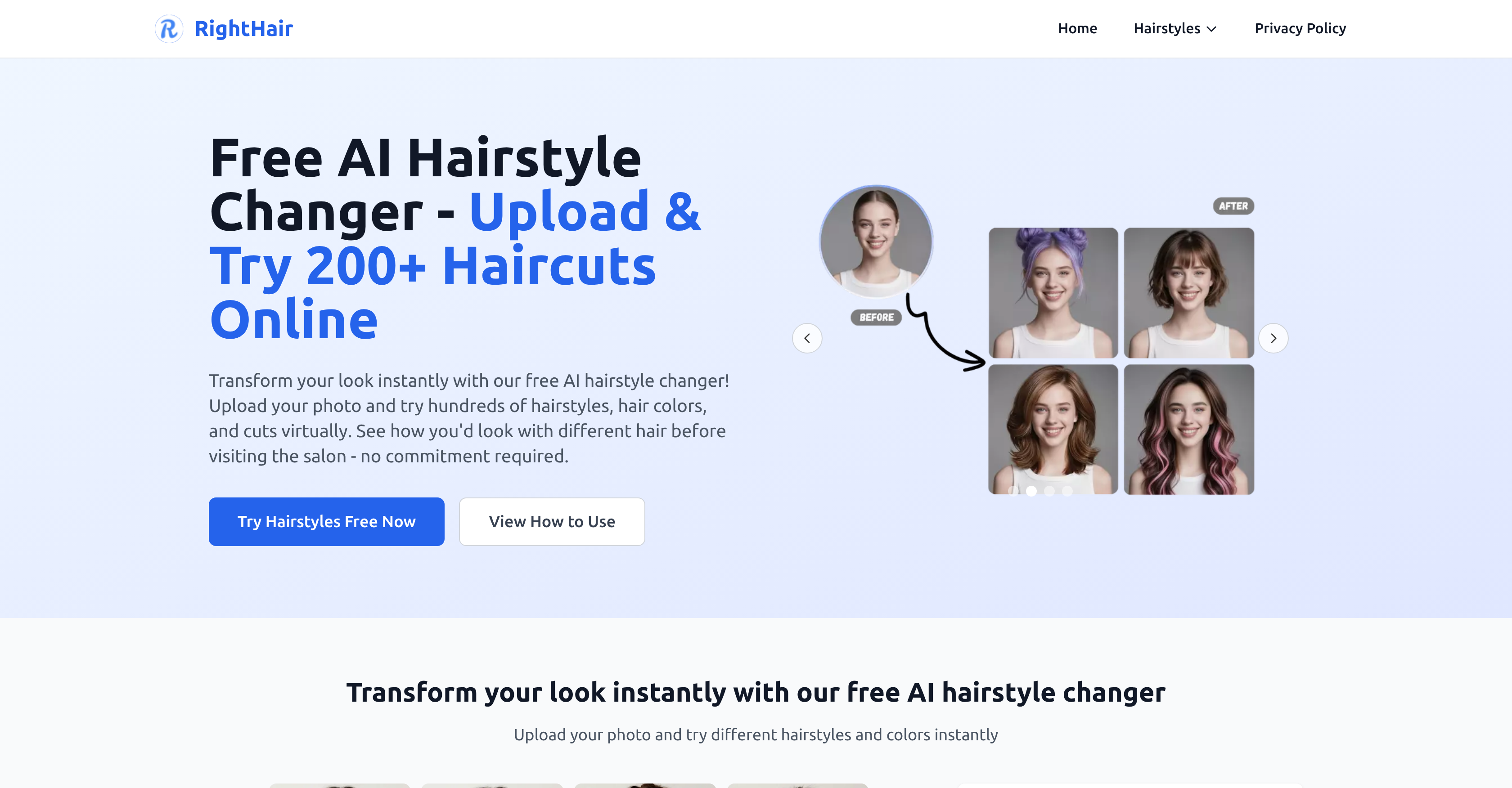 RightHair - Screenshot showing the interface and features of this AI tool