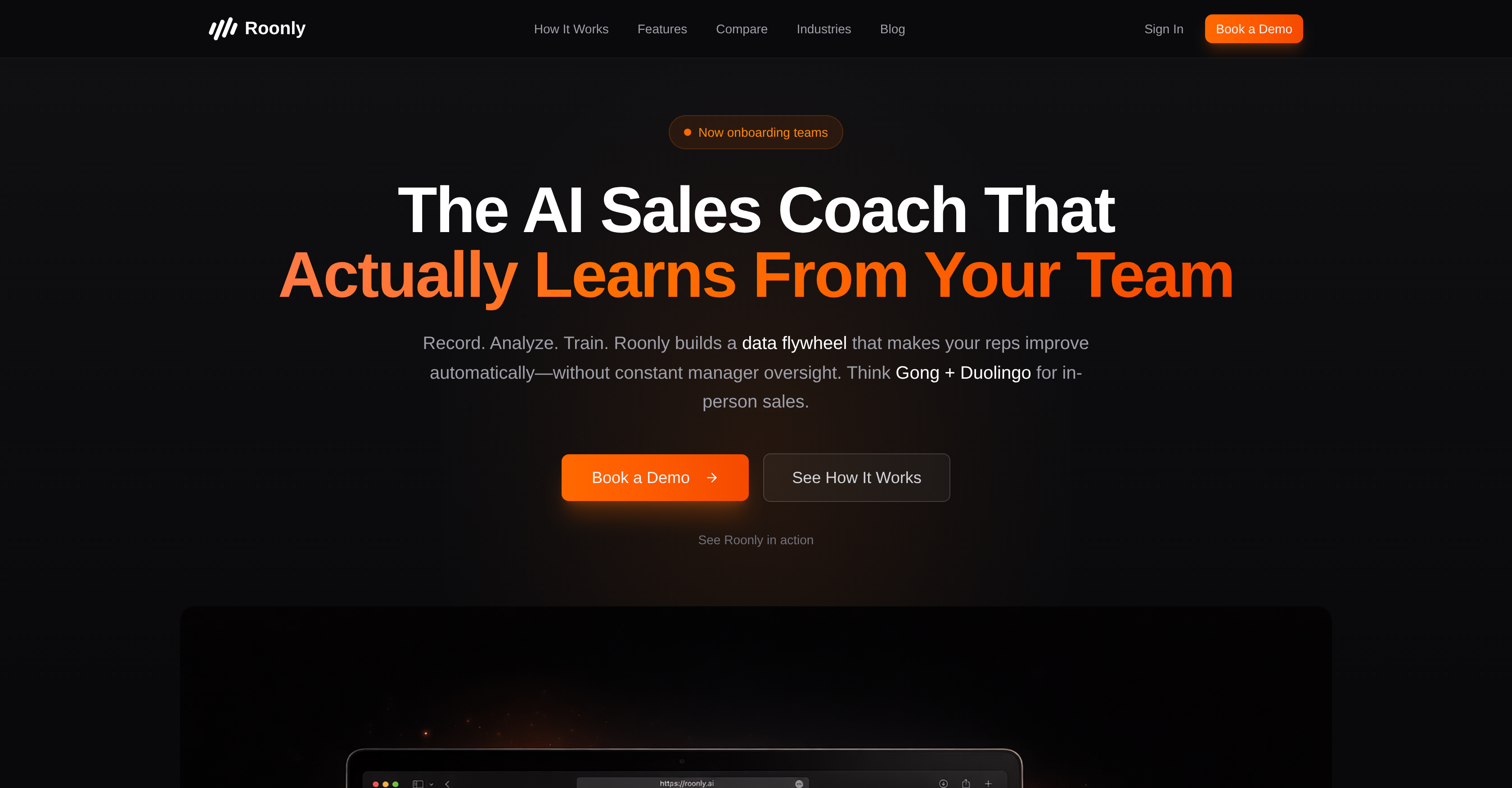 Roonly - Screenshot showing the interface and features of this AI tool