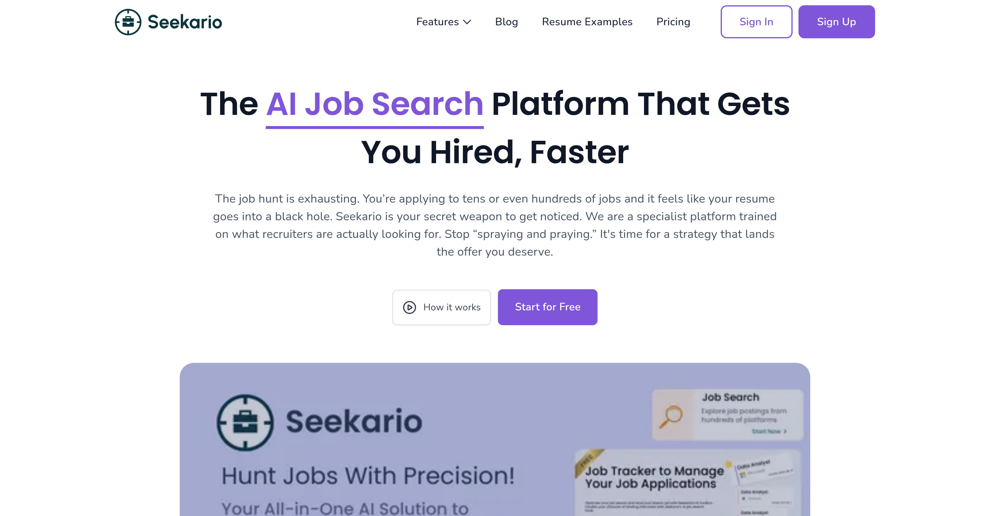 Seekario - Screenshot showing the interface and features of this AI tool