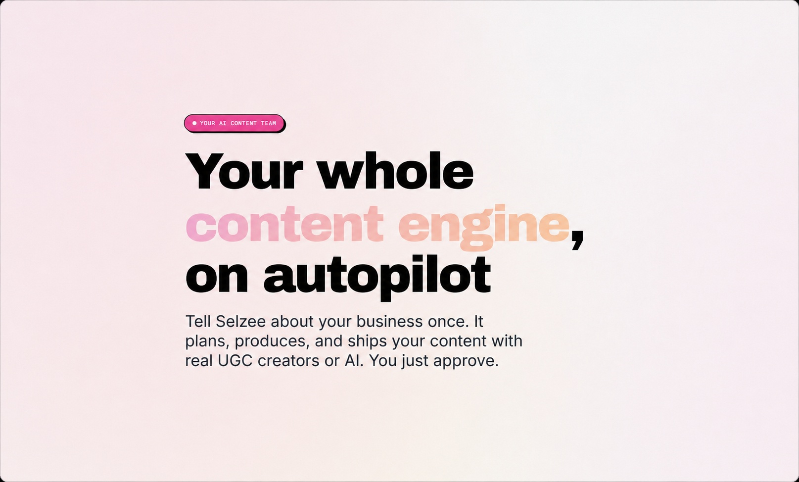 Selzee - Screenshot showing the interface and features of this AI tool