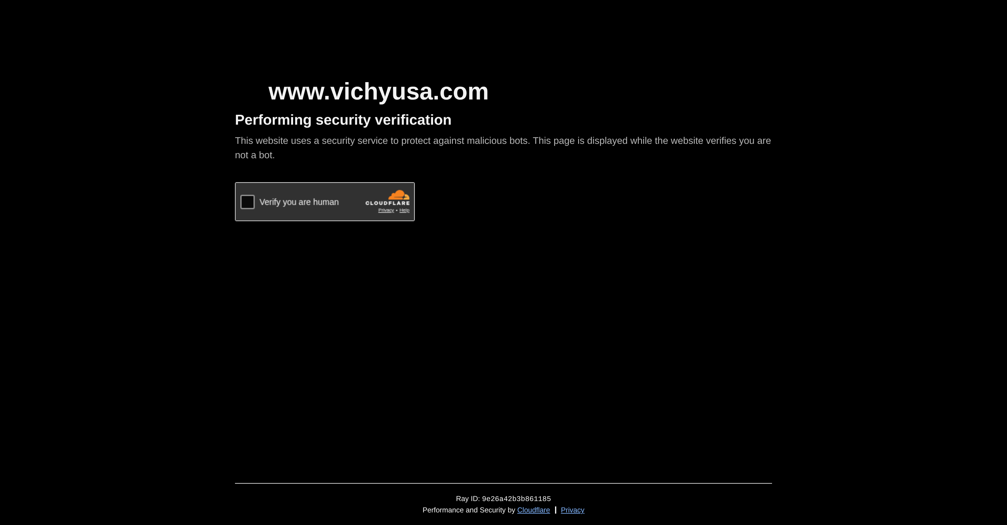 SkinConsult AI by Vichy - Screenshot showing the interface and features of this AI tool