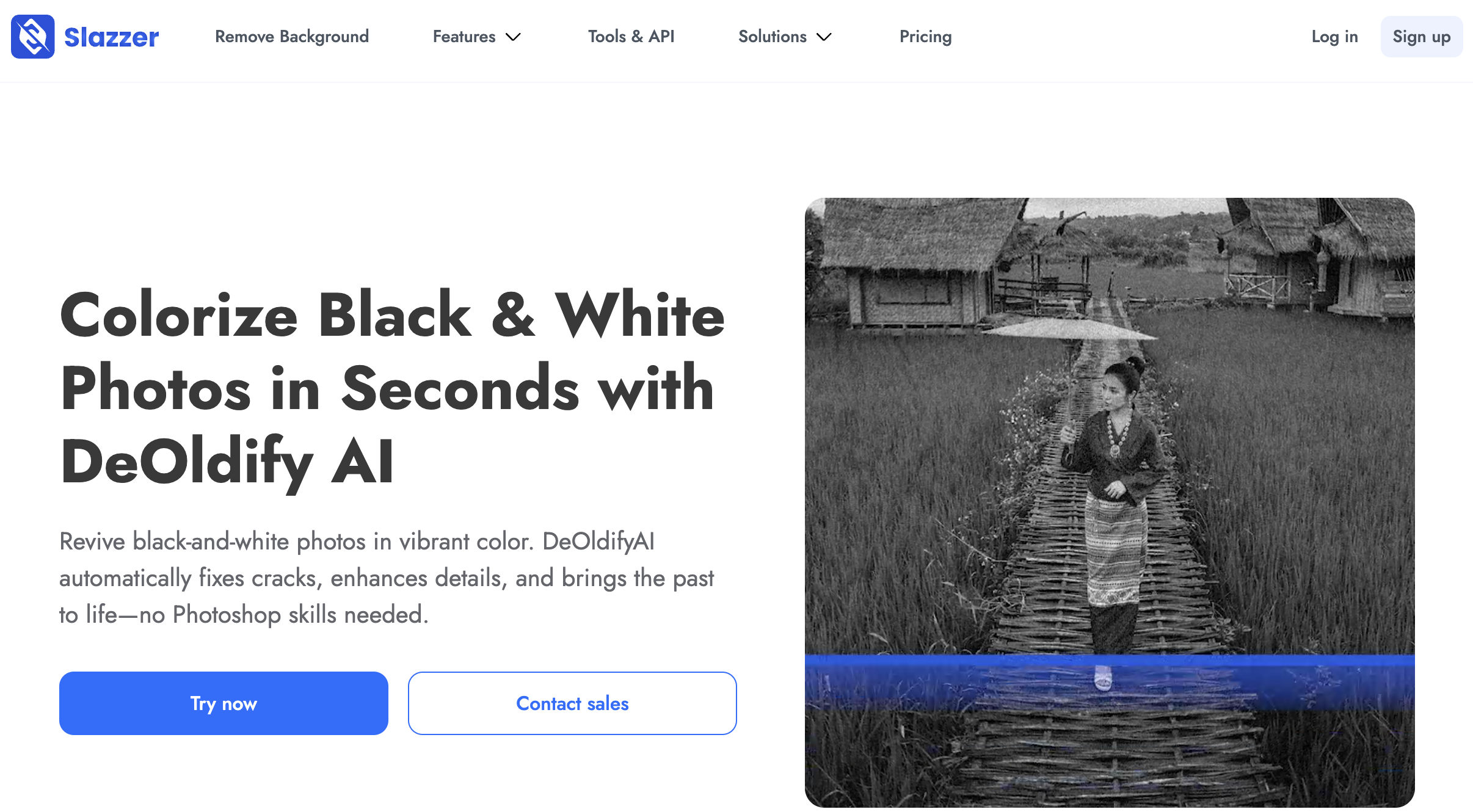 Slazzer DeOldify AI - Screenshot showing the interface and features of this AI tool