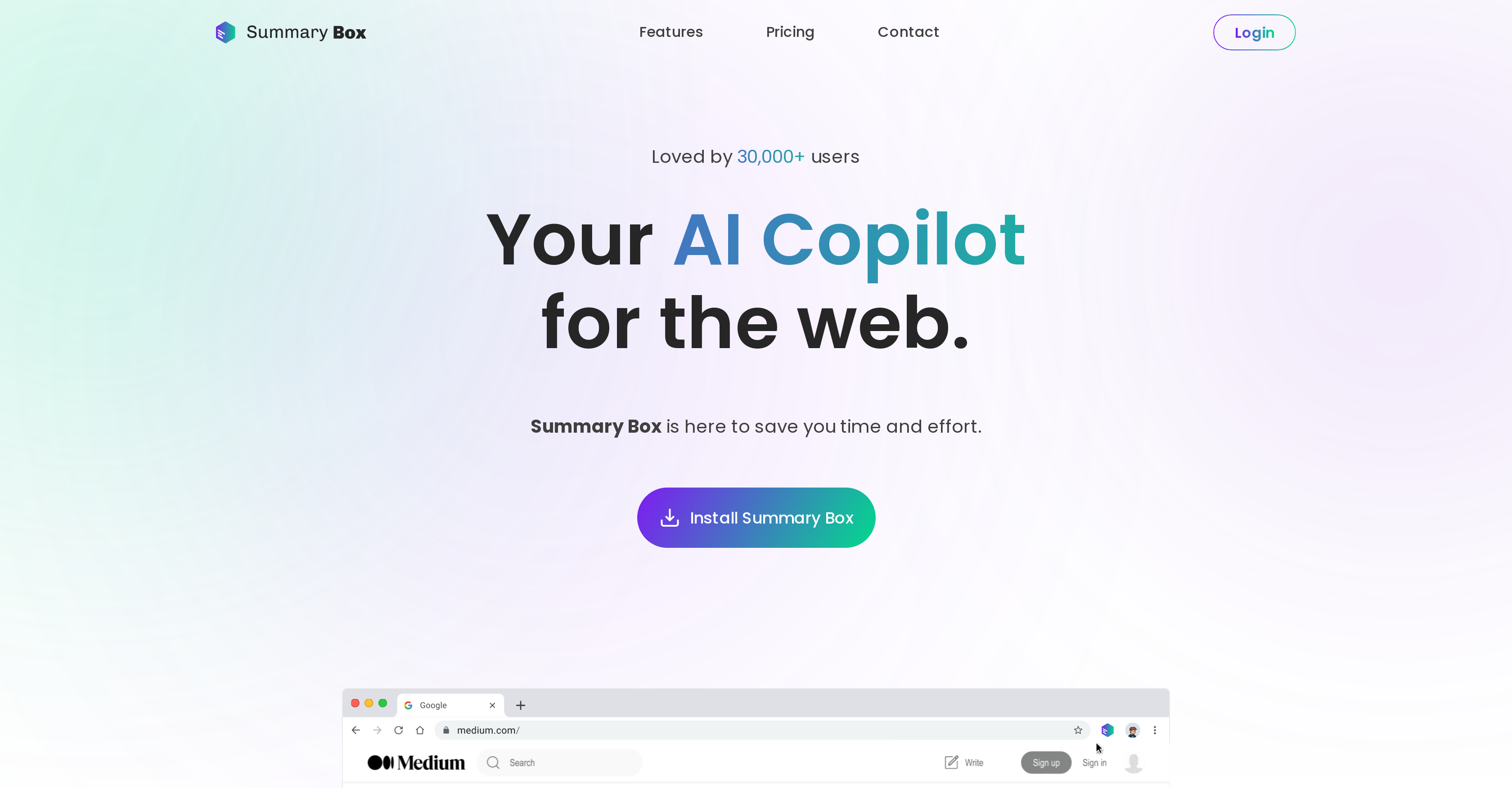 Summary Box - Screenshot showing the interface and features of this AI tool