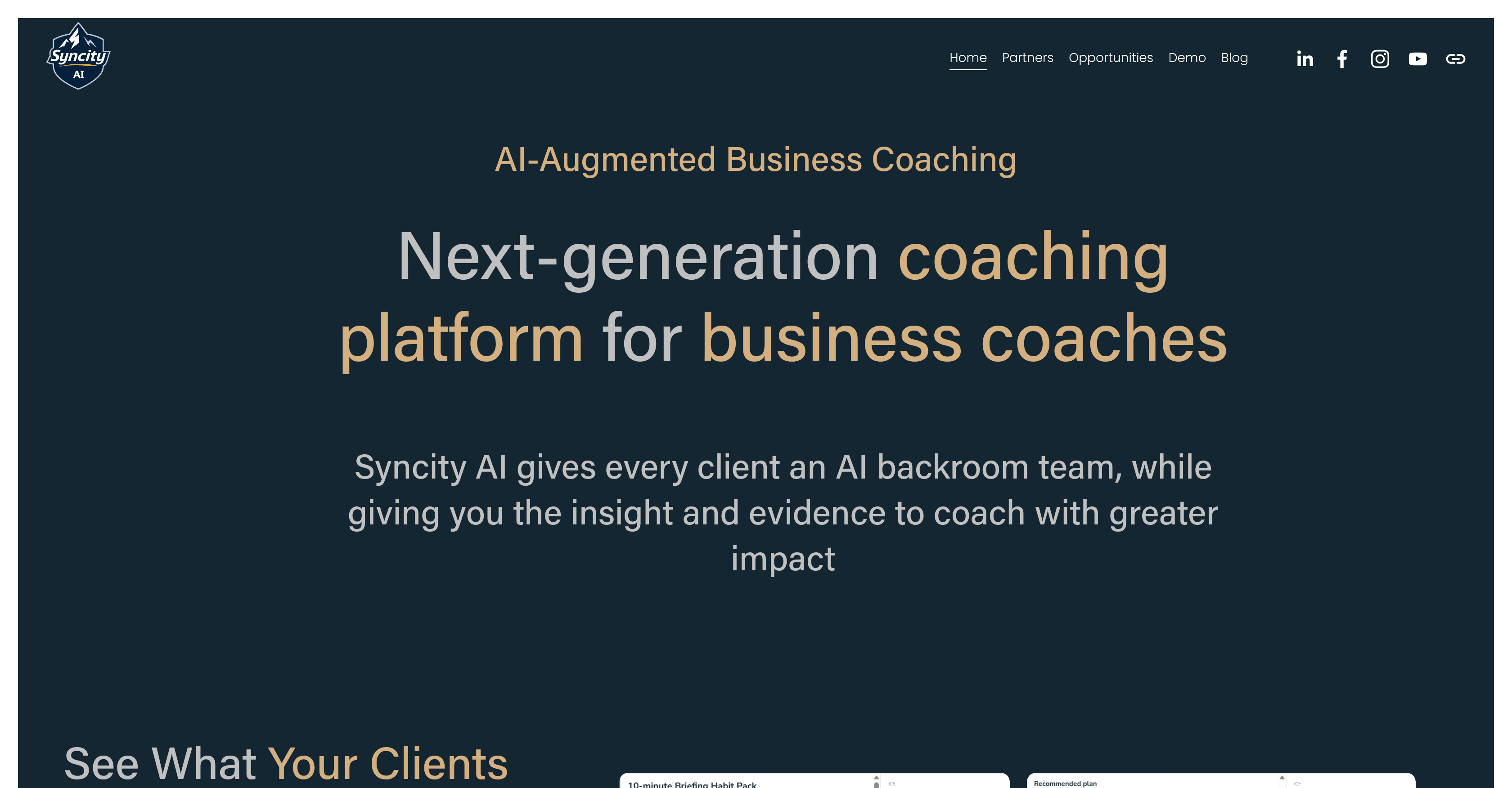 Syncity AI - Screenshot showing the interface and features of this AI tool