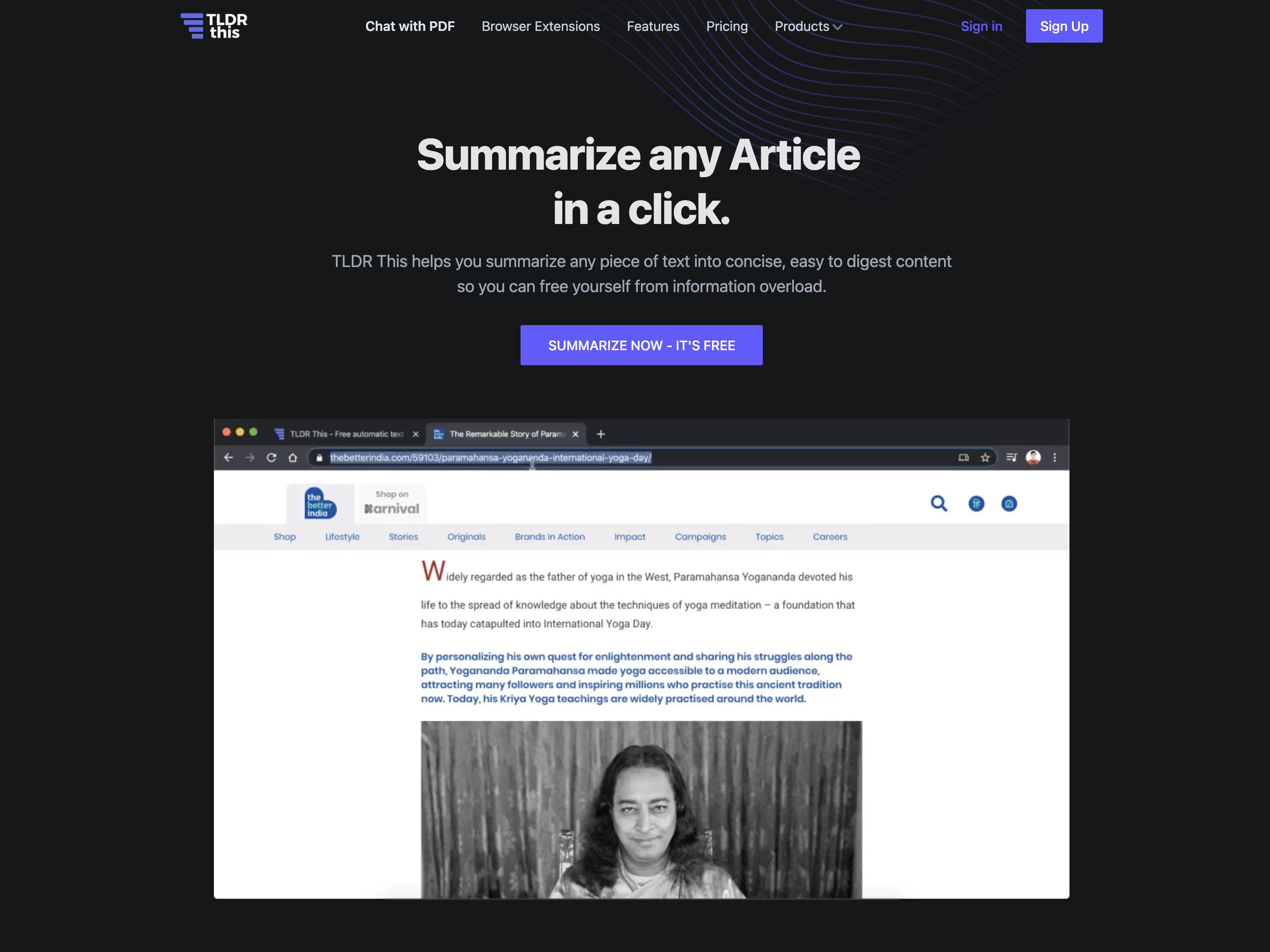 TLDR This - Screenshot showing the interface and features of this AI tool