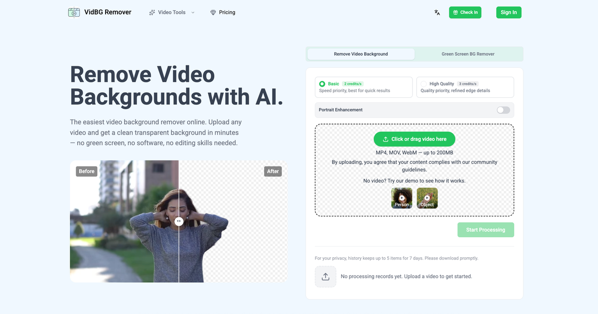 VidBG Remover - Screenshot showing the interface and features of this AI tool