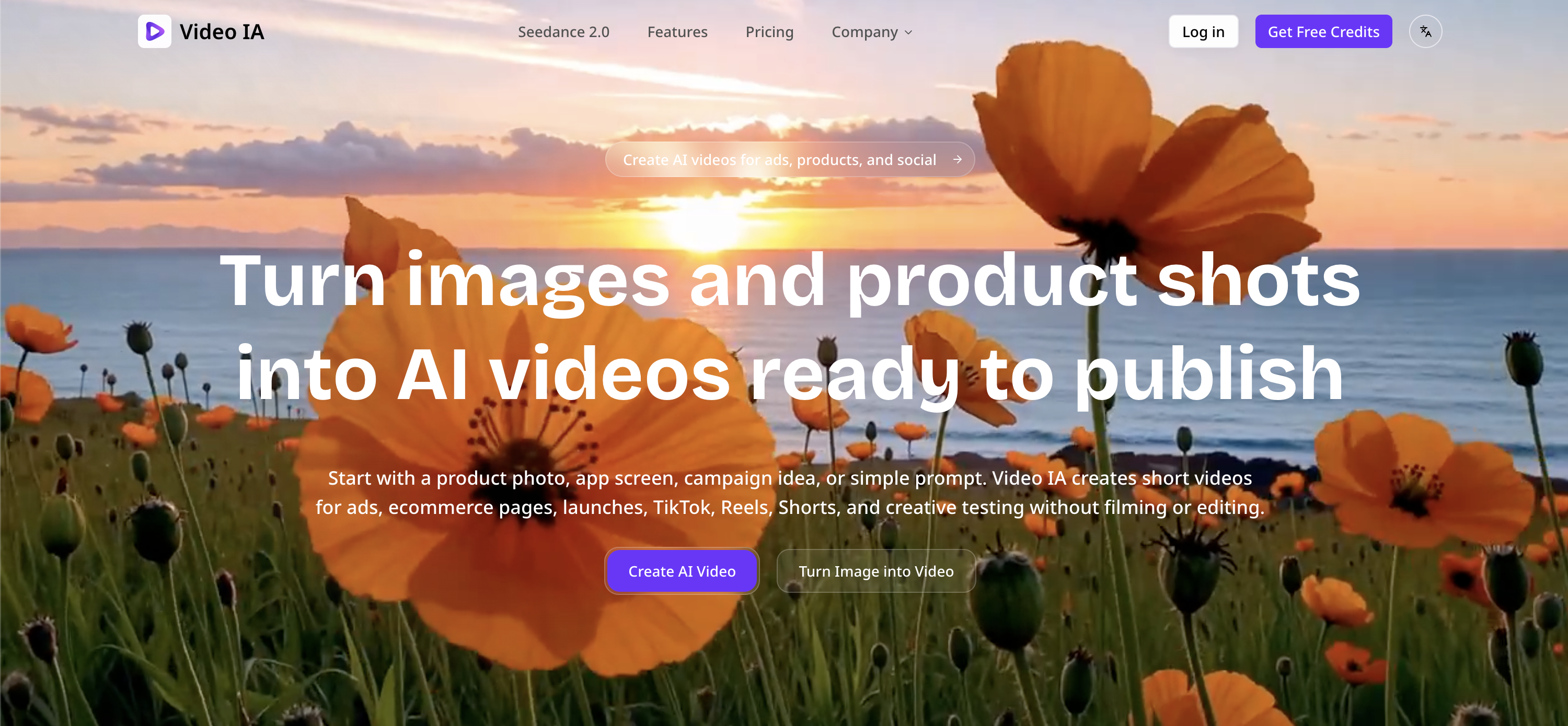 Video IA - Screenshot showing the interface and features of this AI tool