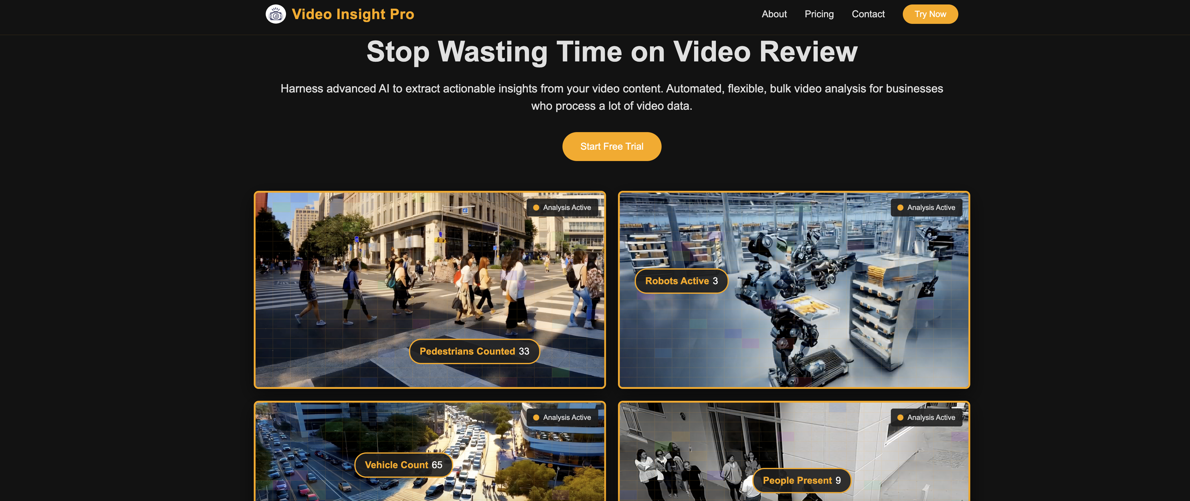 Video Insight Pro - Screenshot showing the interface and features of this AI tool