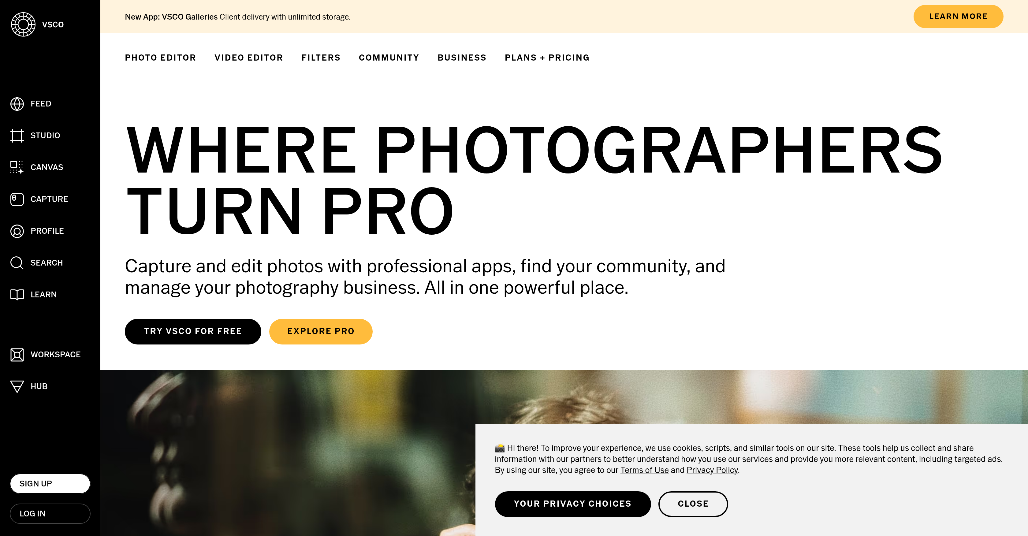 VSCO - Screenshot showing the interface and features of this AI tool