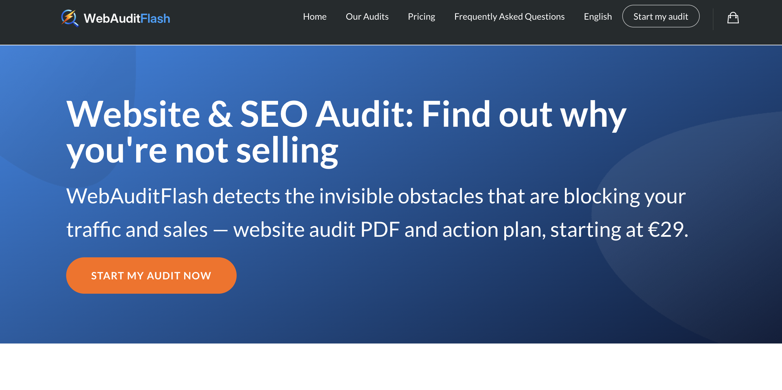 WebAuditFlash - Screenshot showing the interface and features of this AI tool