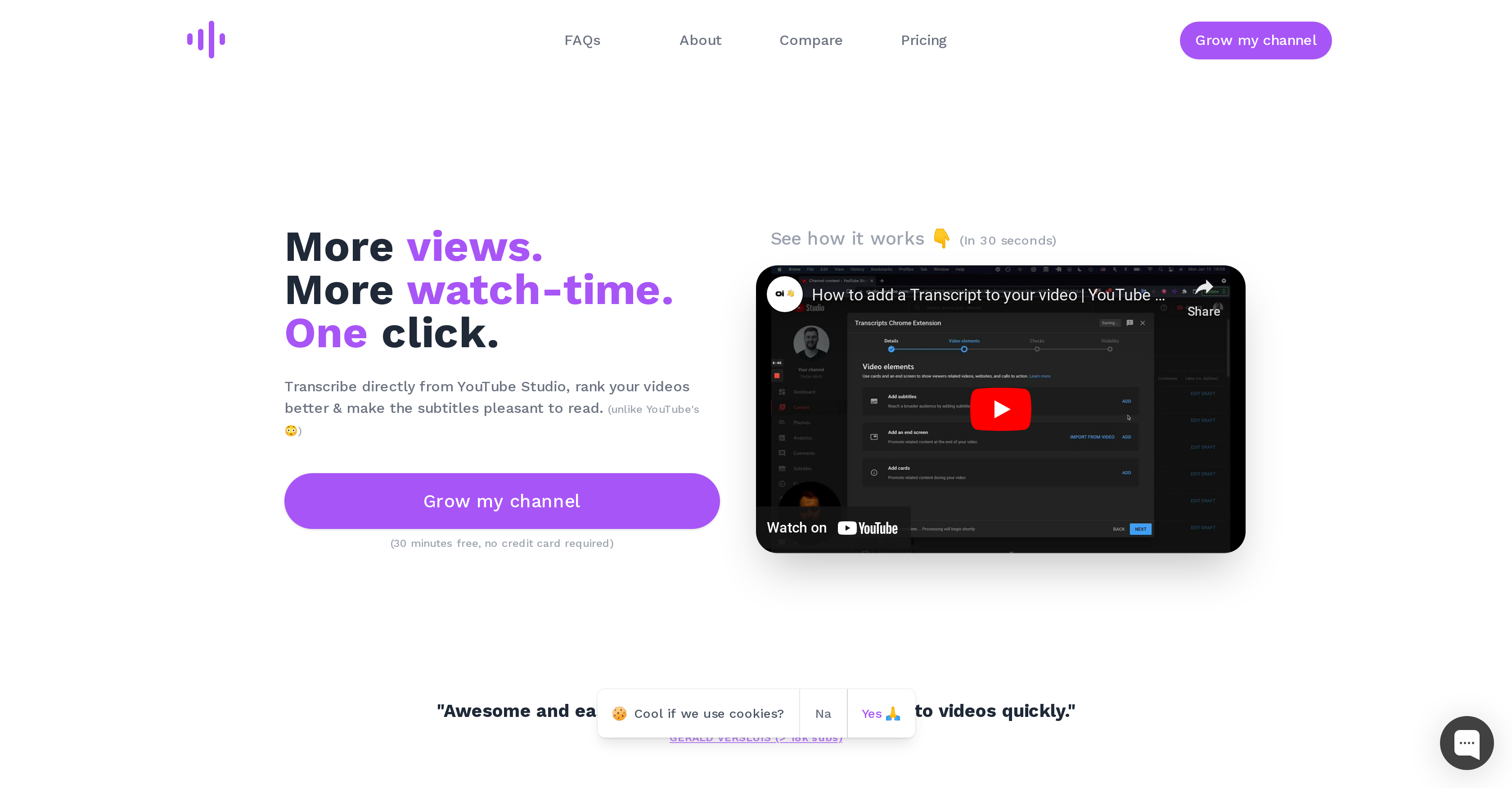YouTube Transcripts - Screenshot showing the interface and features of this AI tool